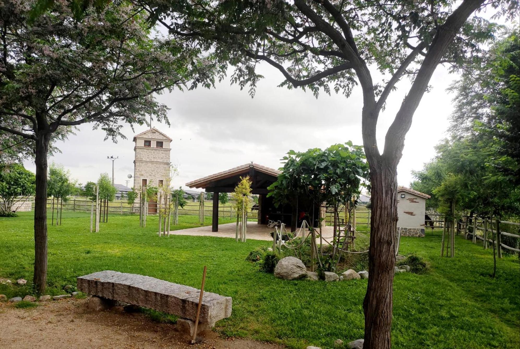 Photo 21