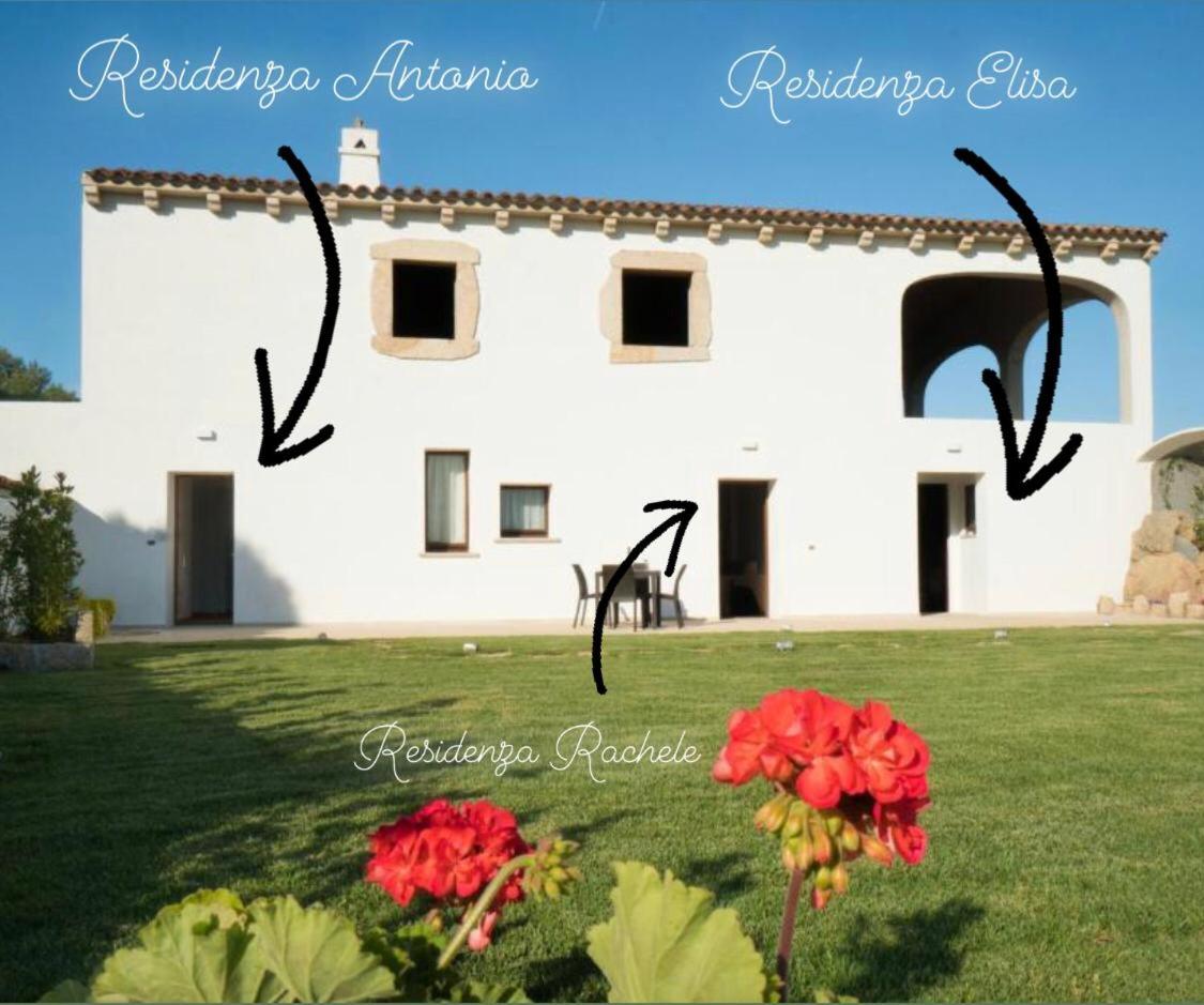 Villa Gaia photo 4