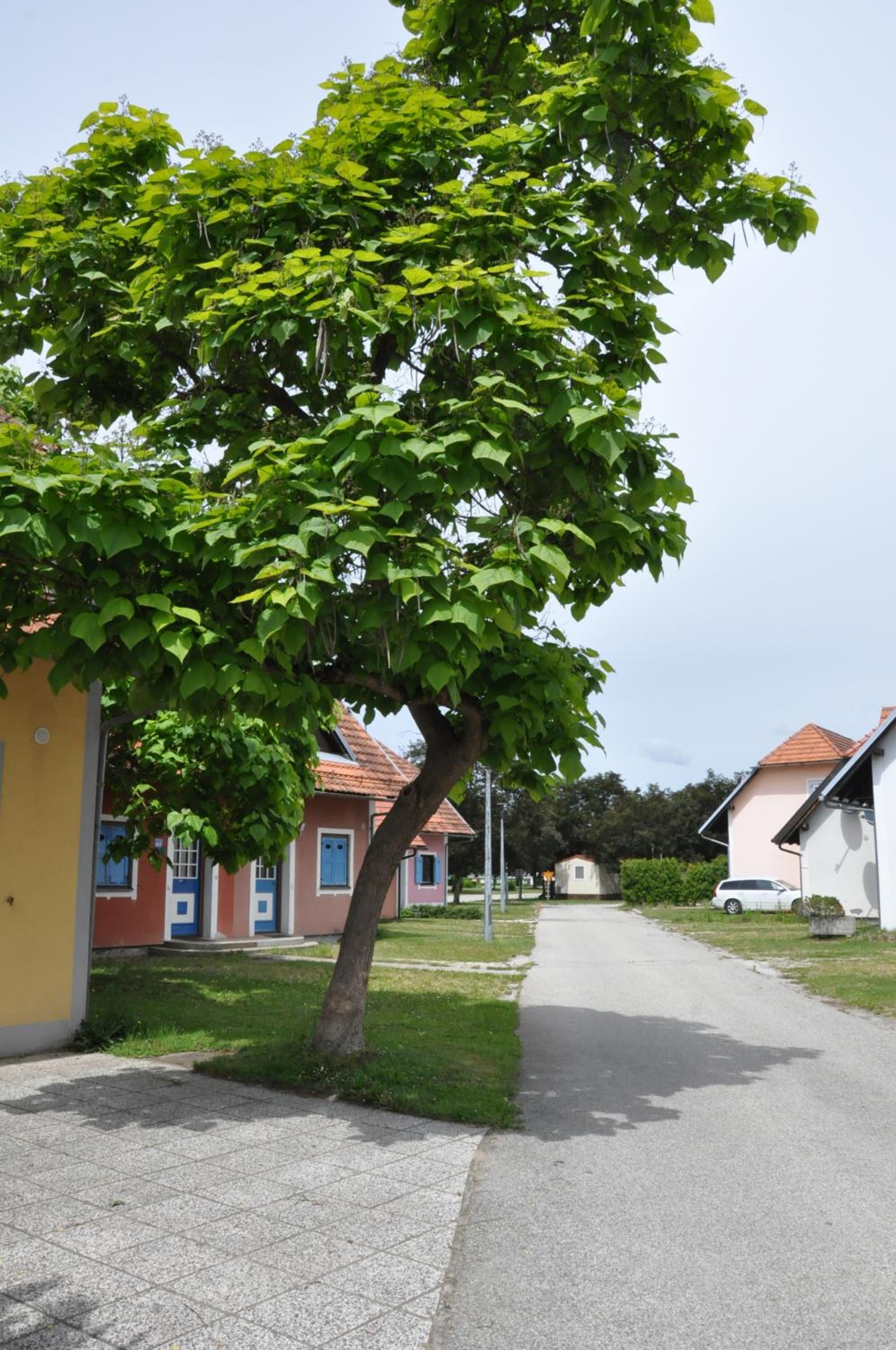 Apartma Julija Hiška 59