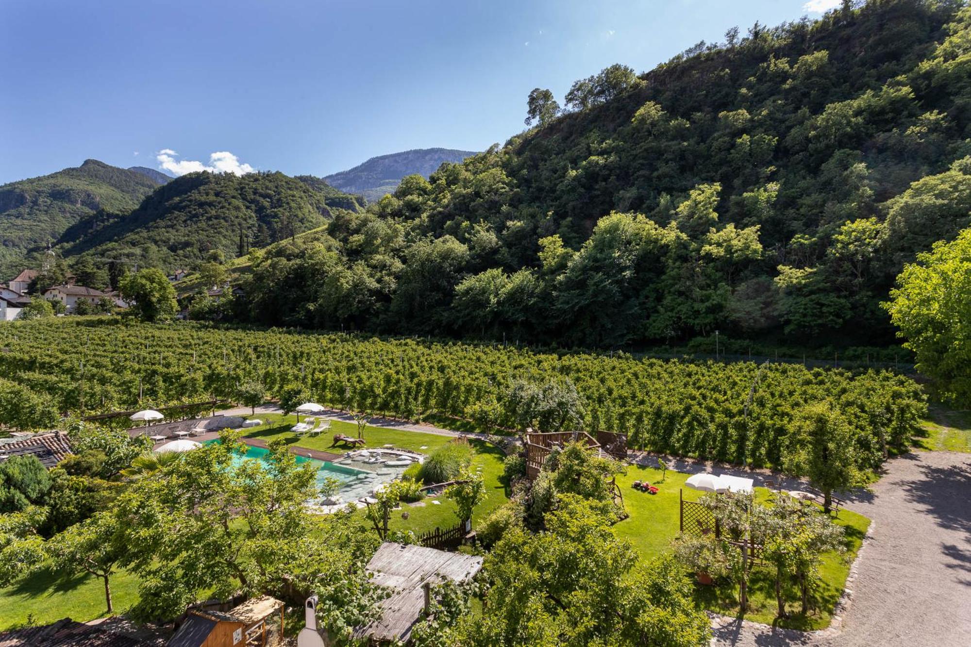 Kreuzwegerhof Nals - Historic Nature Stay with Pool near Meran & Bozen