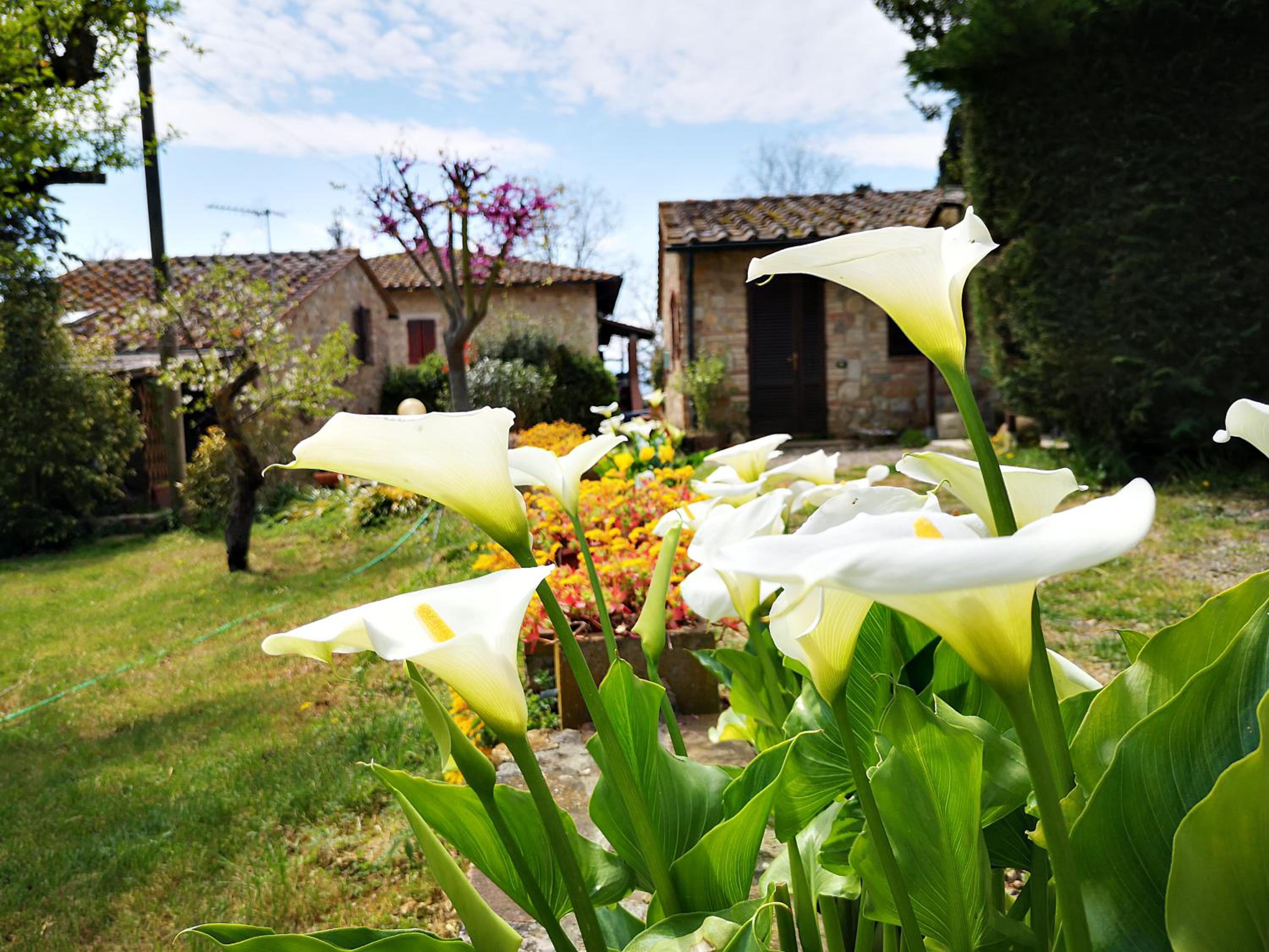 Agriturismo grecinella