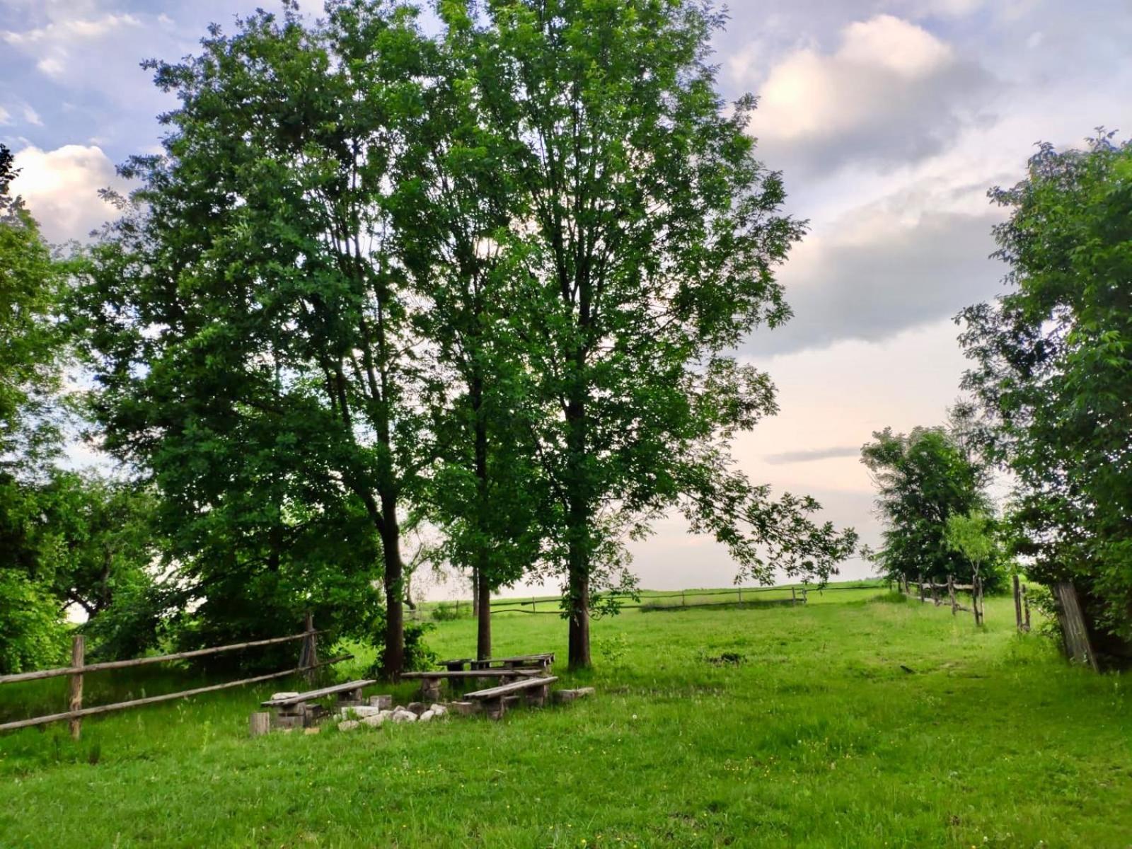 Dzikówka view 4