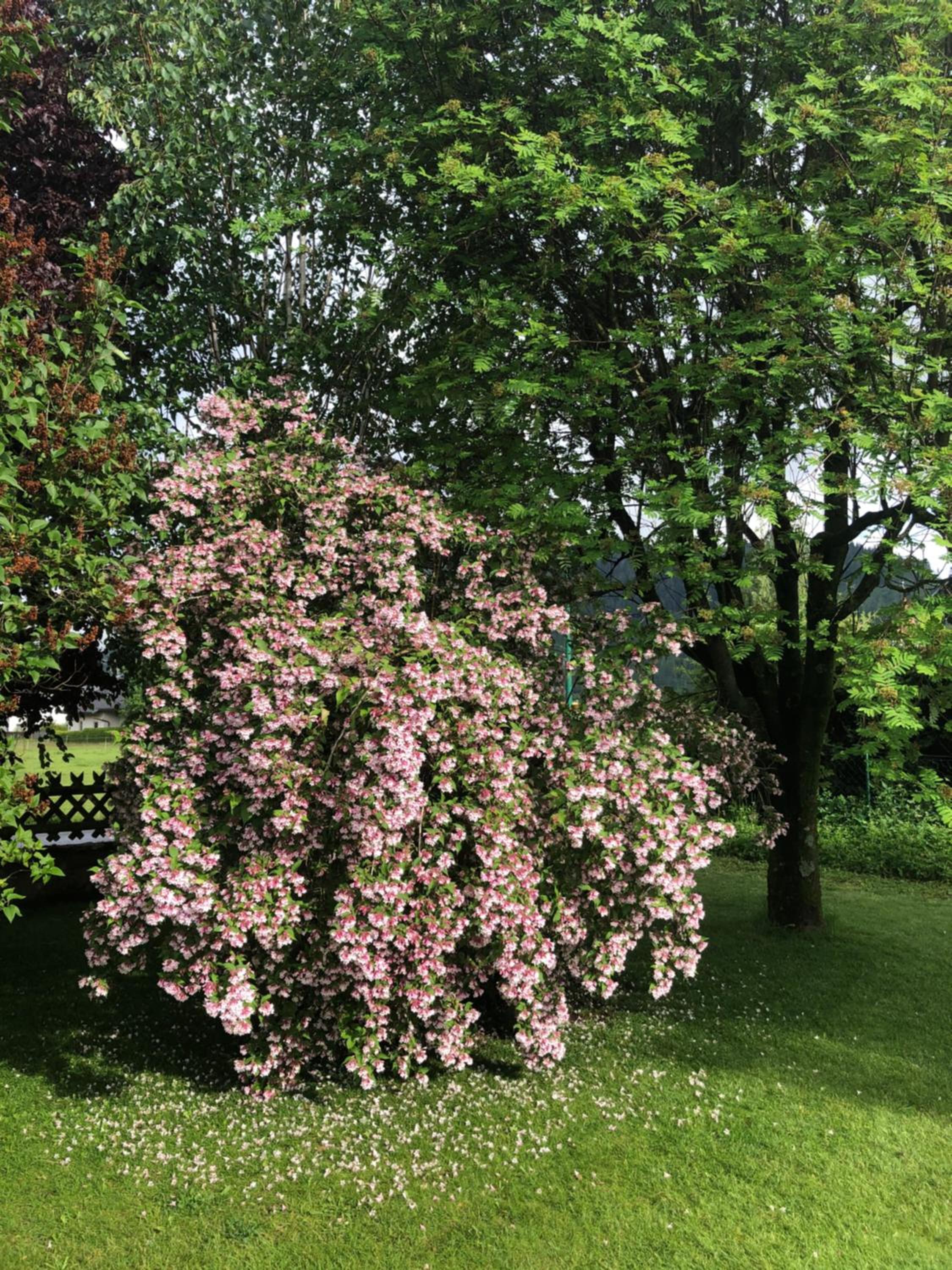 Frühstückspension Eichberger