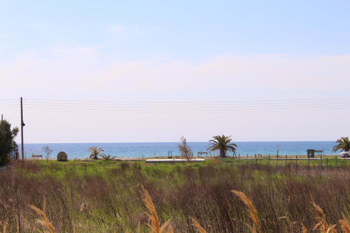 Sunny coast halkidiki! view 5