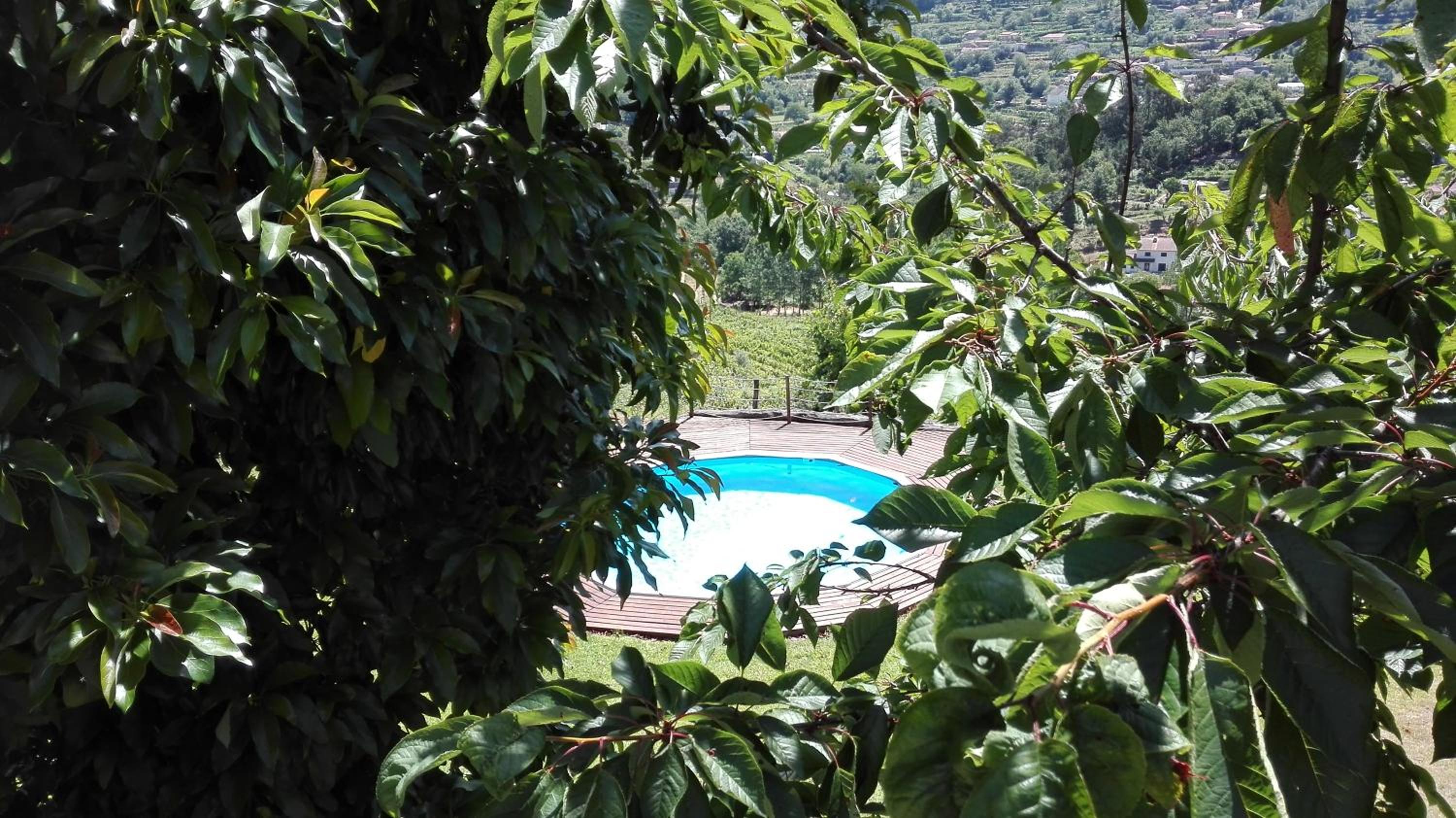 Quinta da Mata view 5