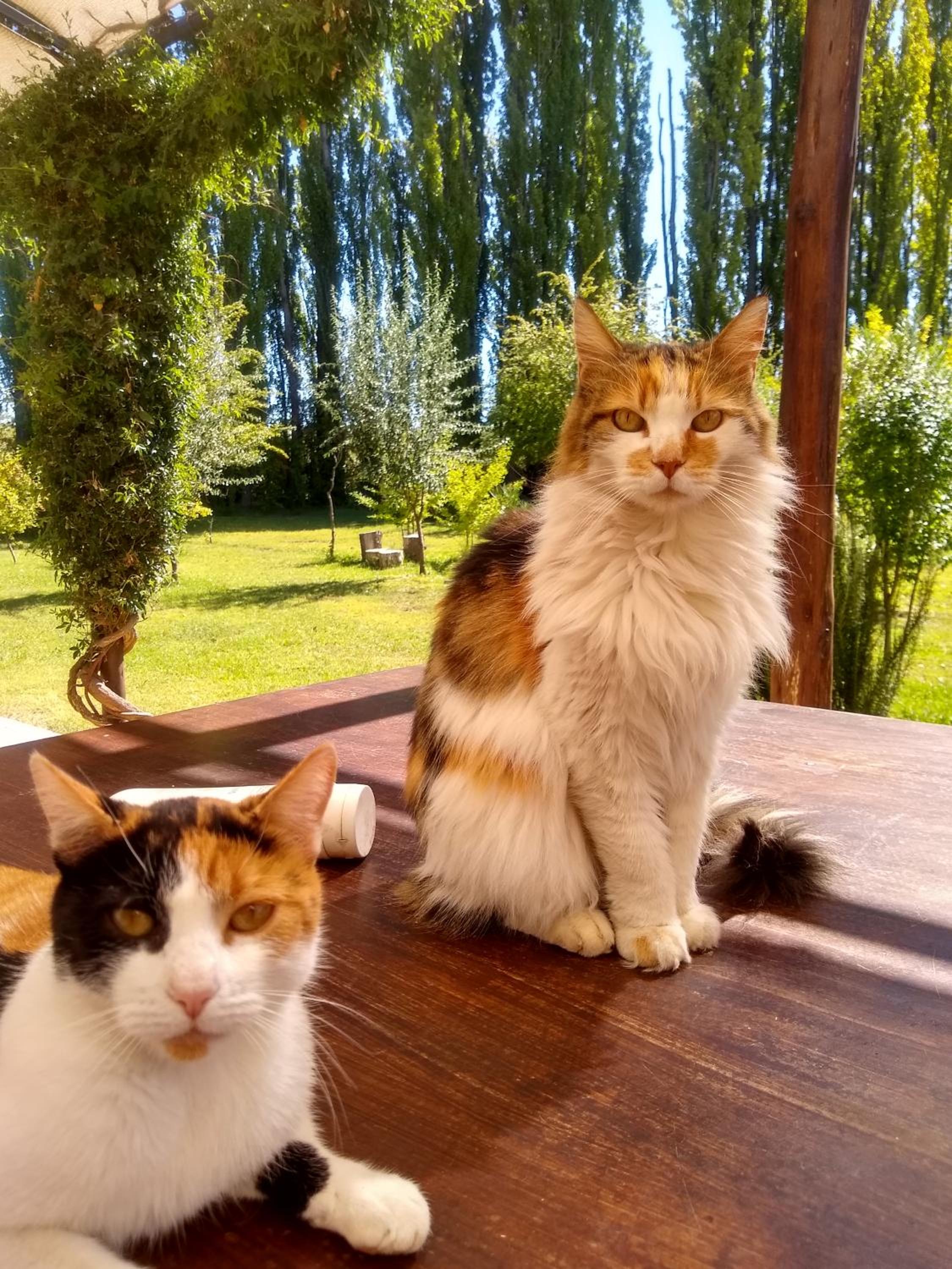 Finca La Penúltima-Posada