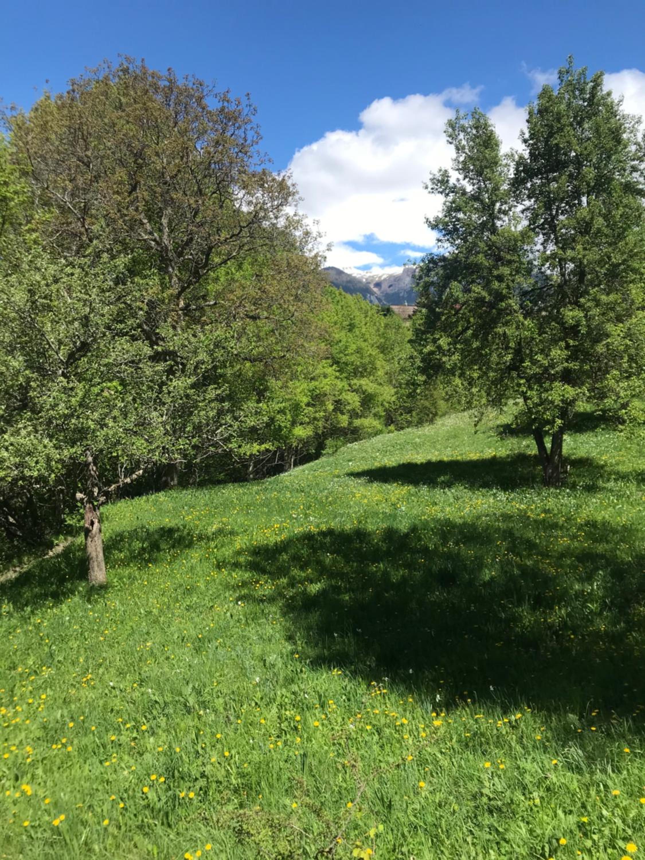 Photo 45