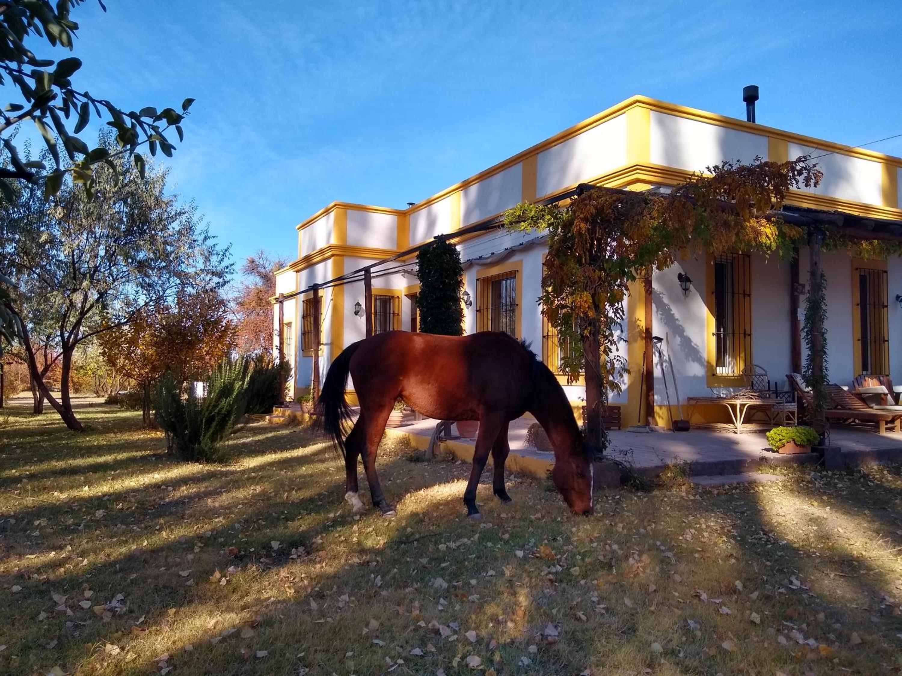Finca La Penúltima-Posada