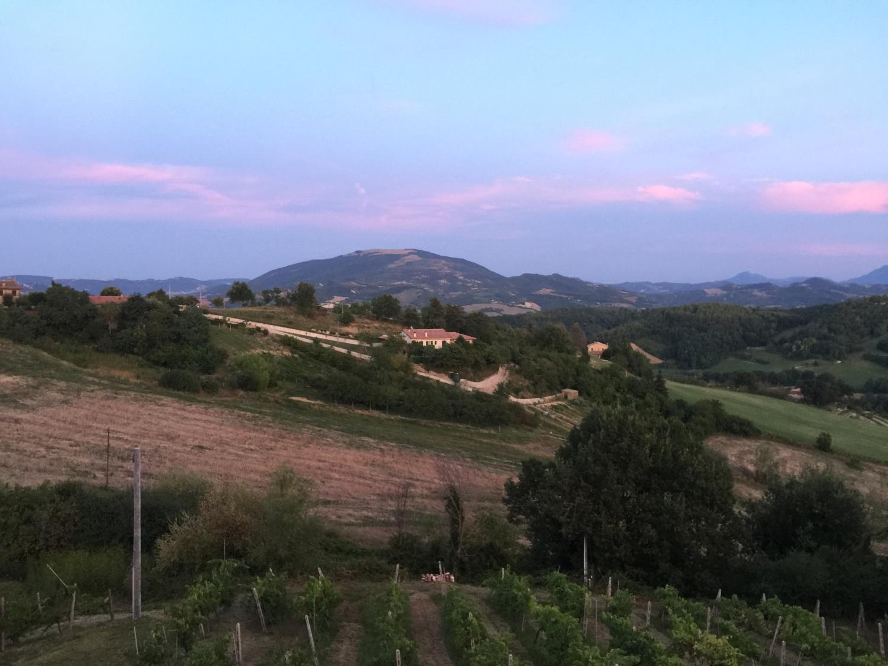 Green B&B Urbino Cá del vento, Billede 14