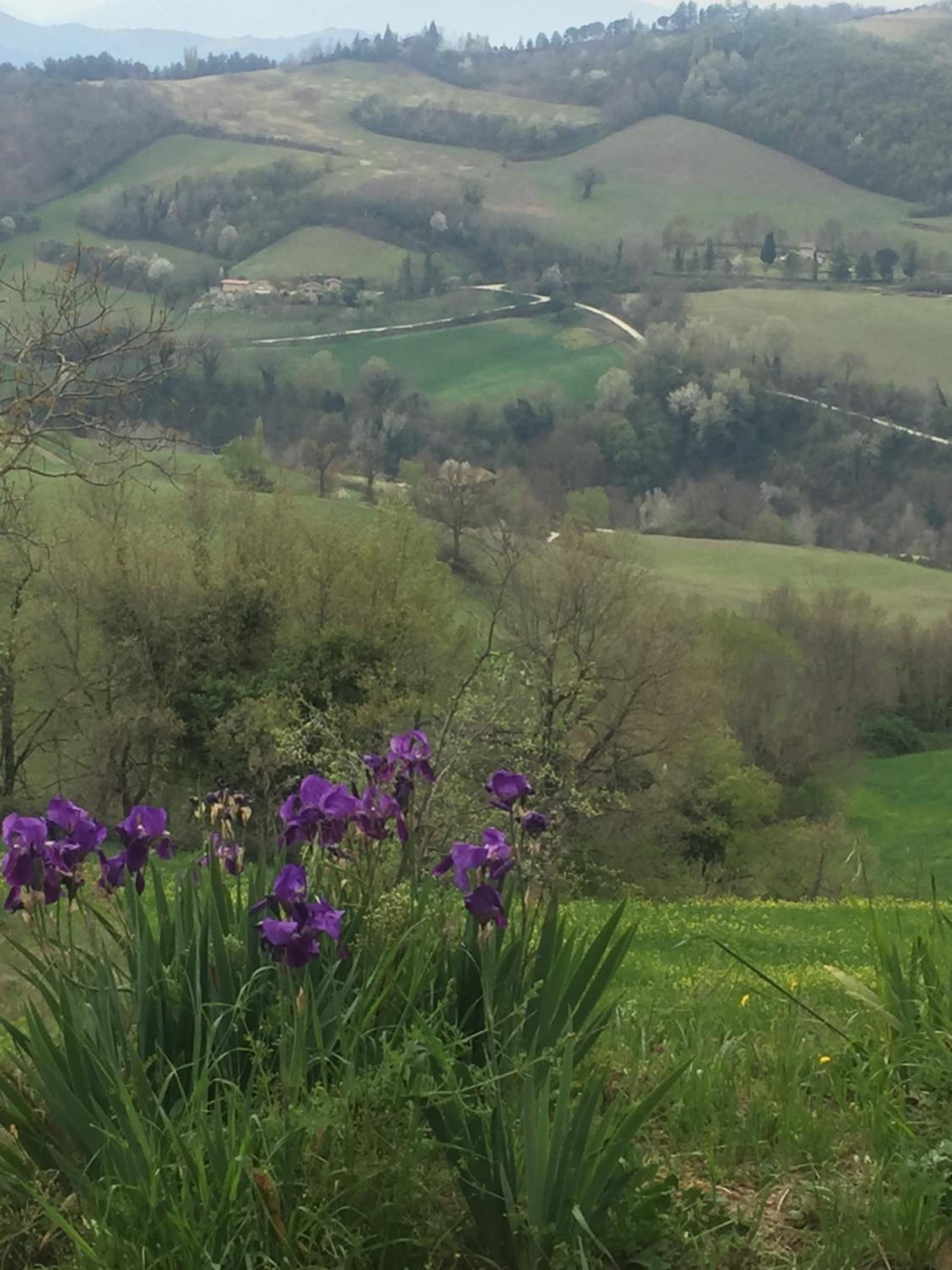 Green B&B Urbino Cá del vento, Billede 31