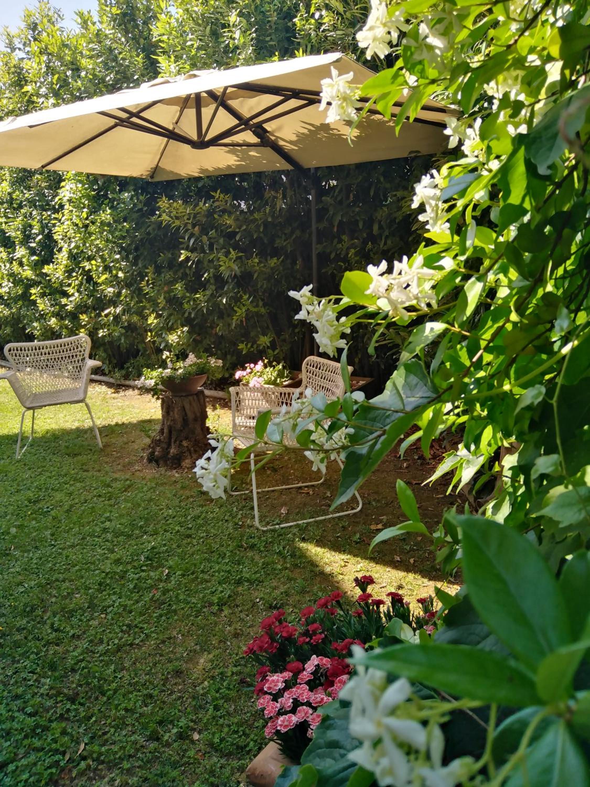 Bio B&B Vivere la Vita view 3