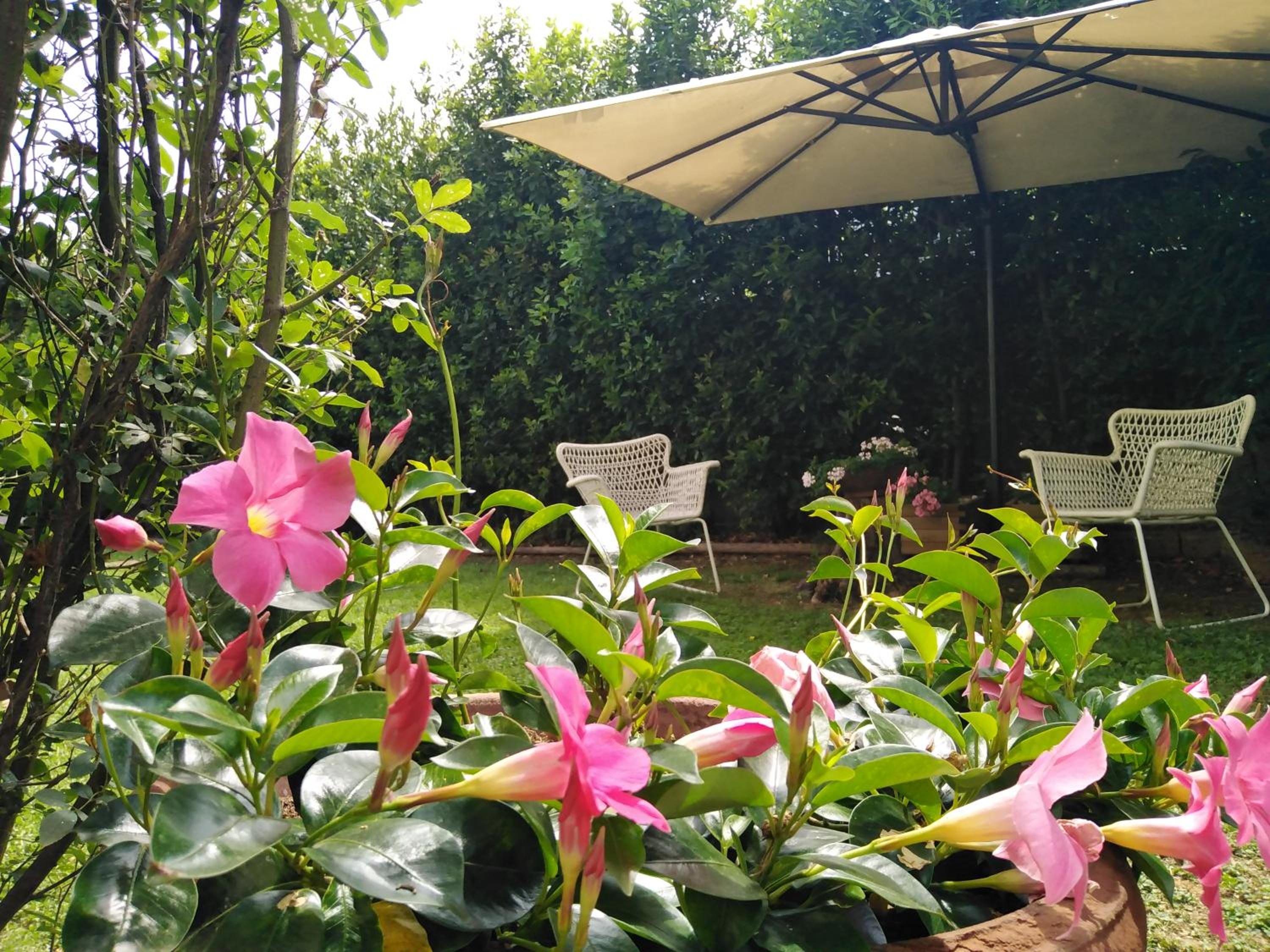 Bio B&B Vivere la Vita view 2
