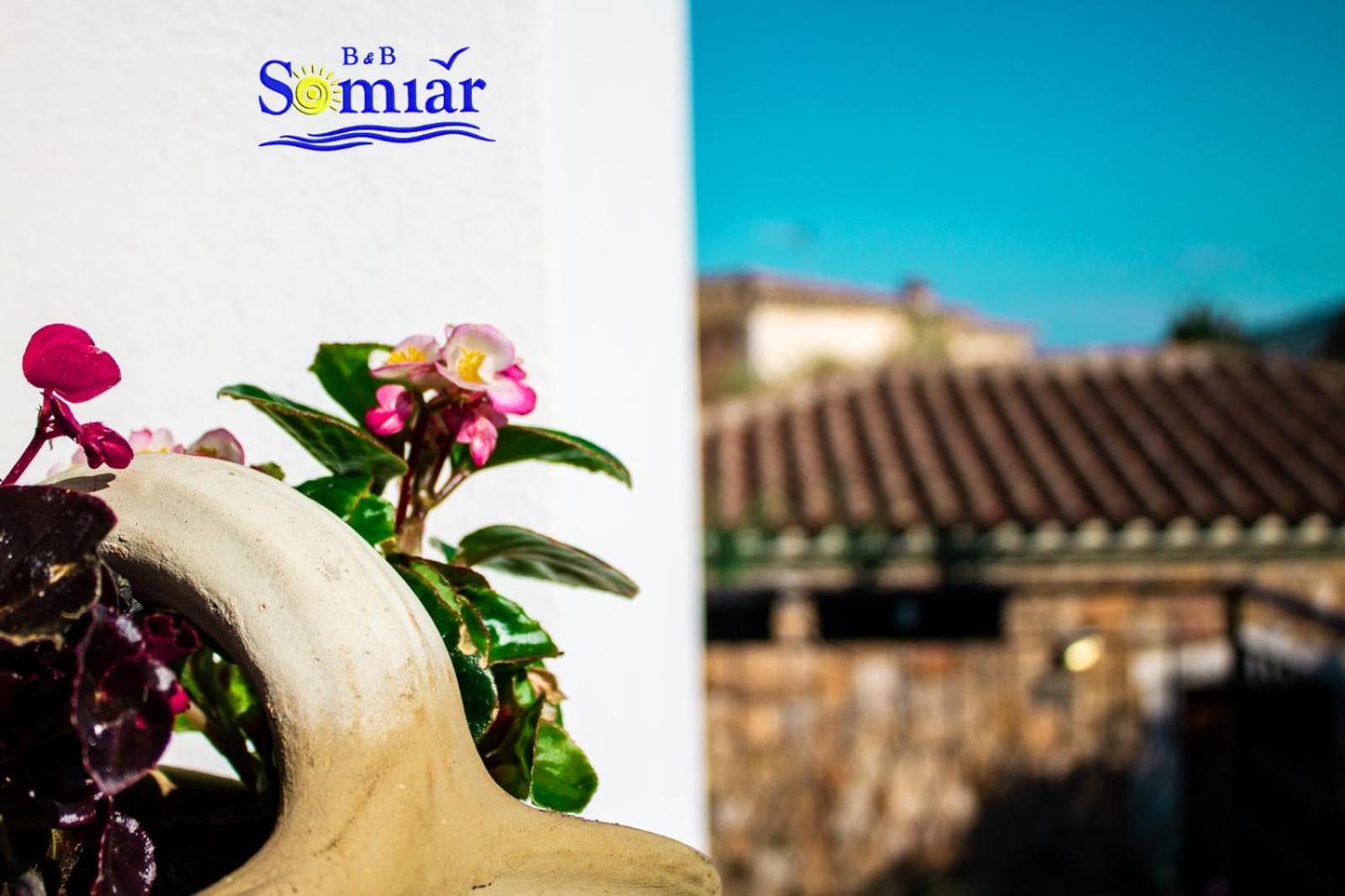 other