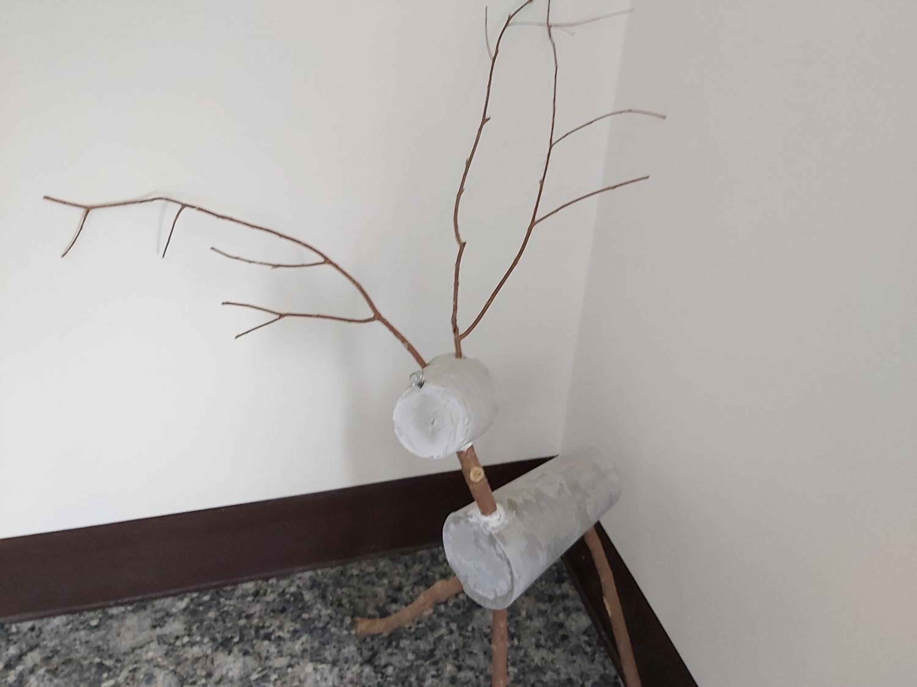 Photo 12