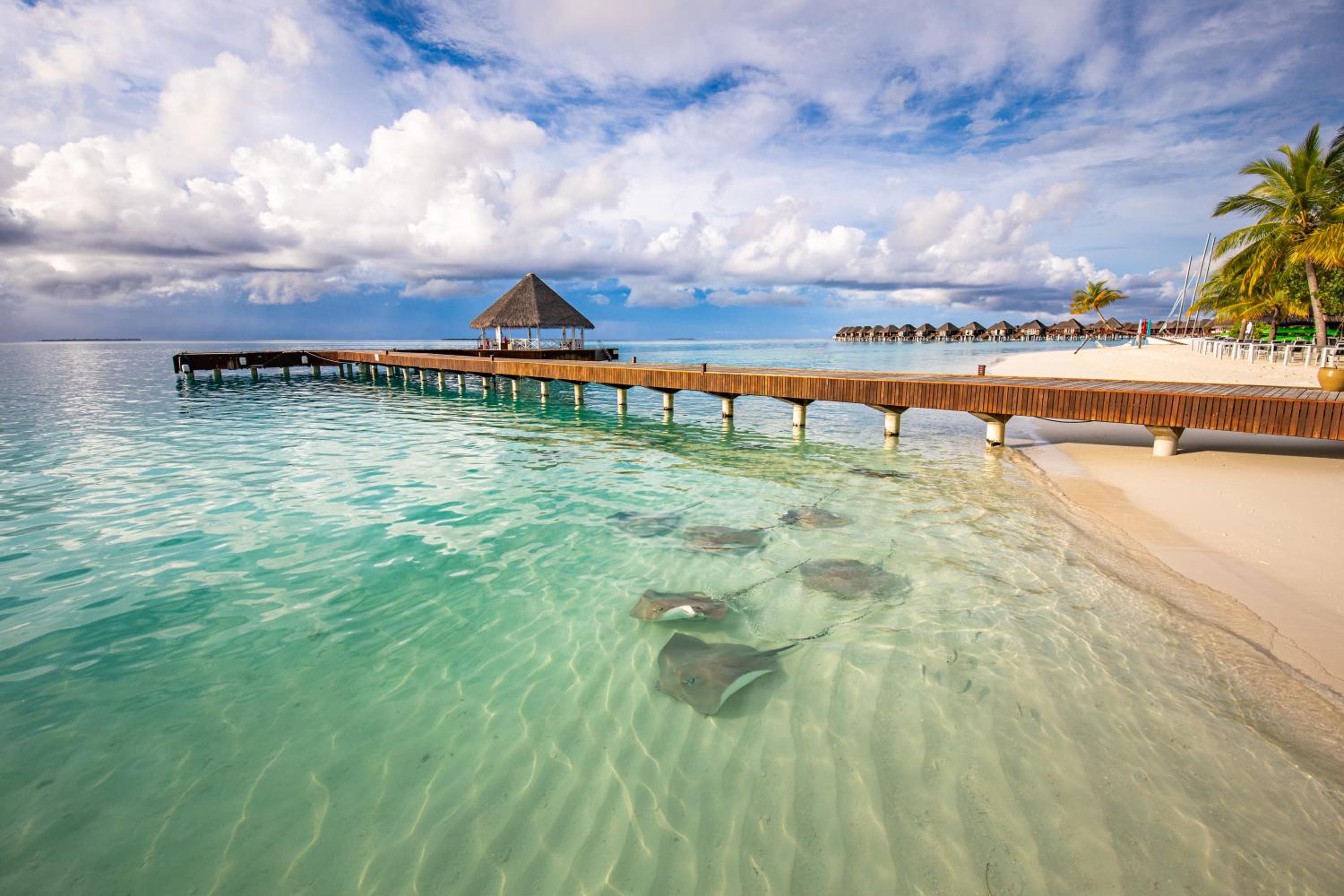 Sun Siyam Vilu Reef - 24 Hours All-Inclusive Dine-Around with Complimentary Return Trip view 5