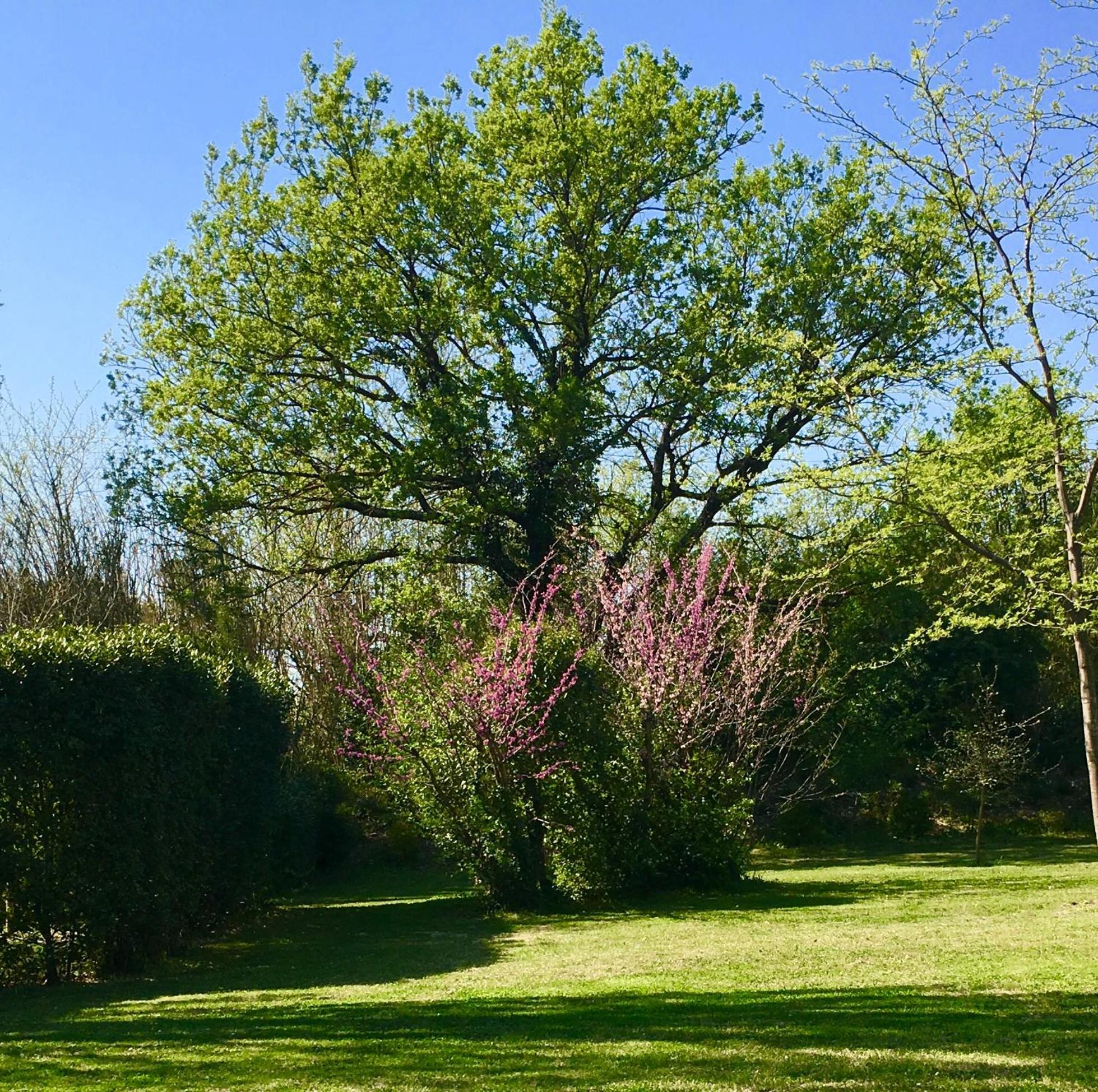 Maison d'hôtes Campagne-Baudeloup