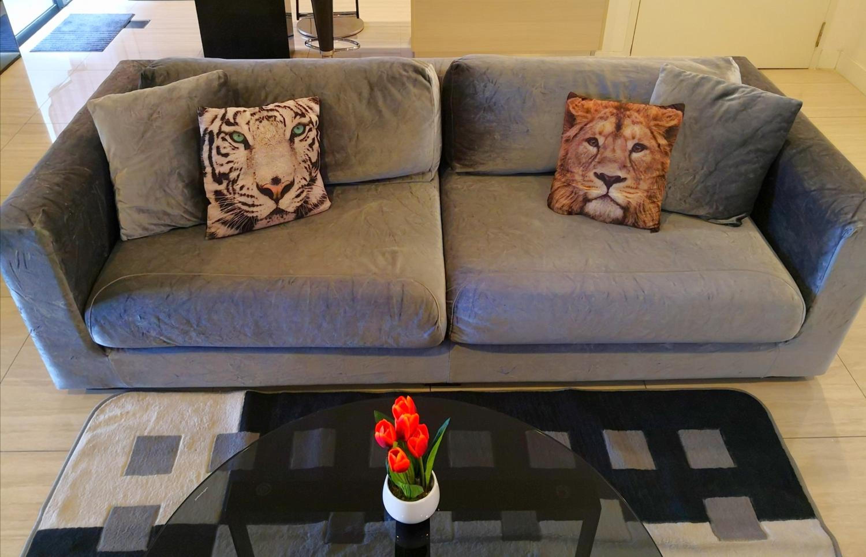 Eve Suite photo 3