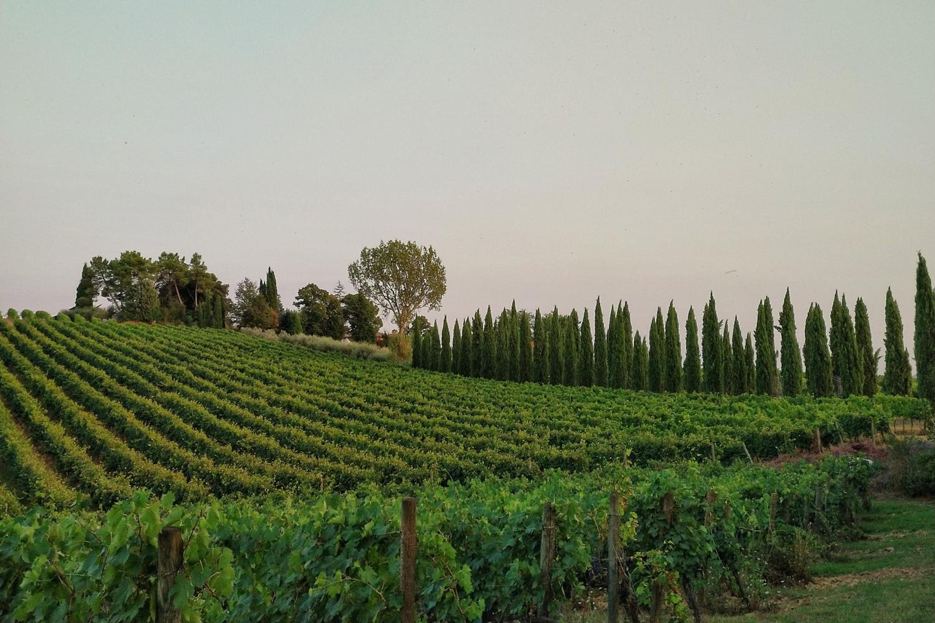 Villa Nottola view 5