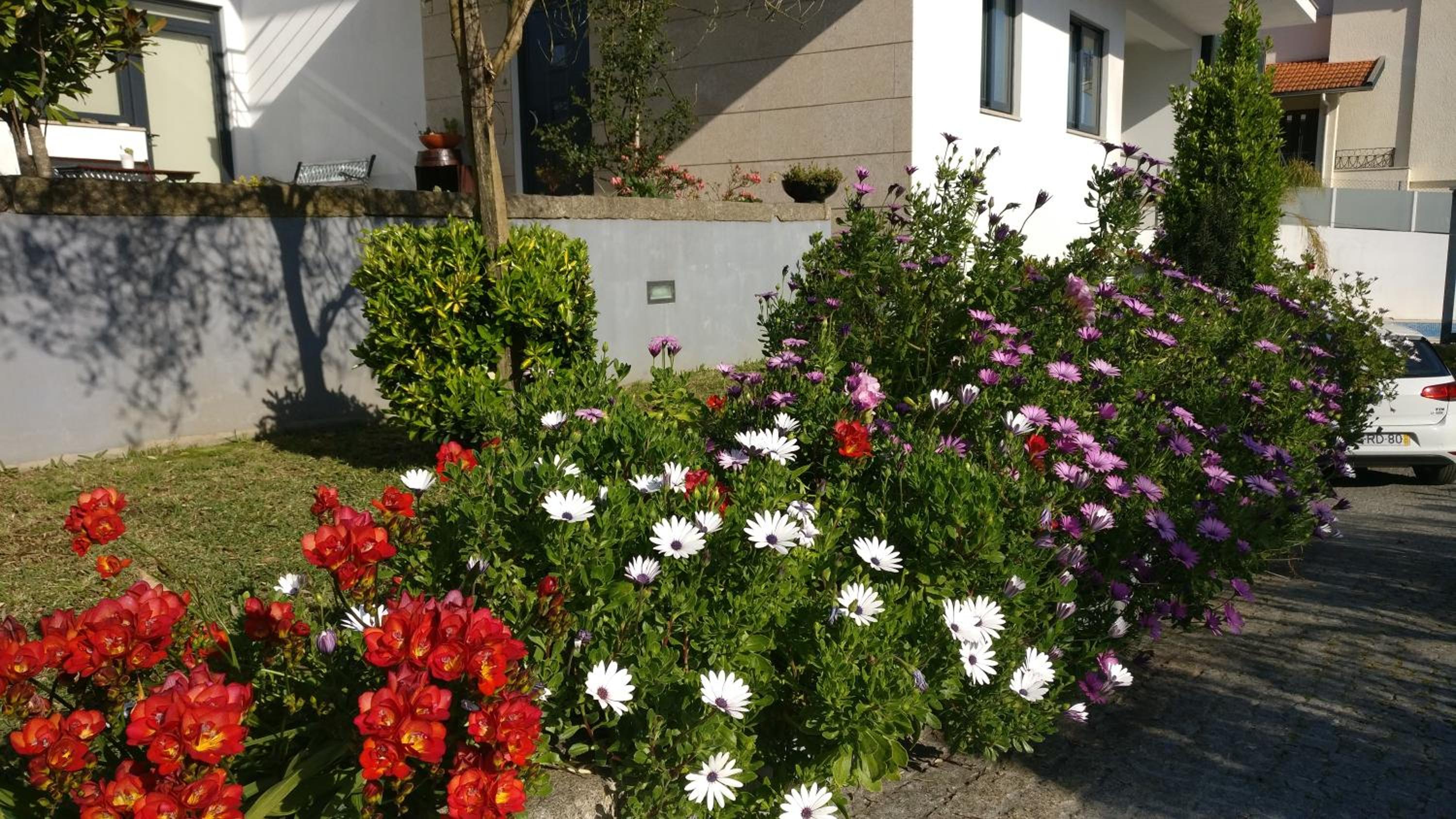 Casa de Coelhosa, photo 35