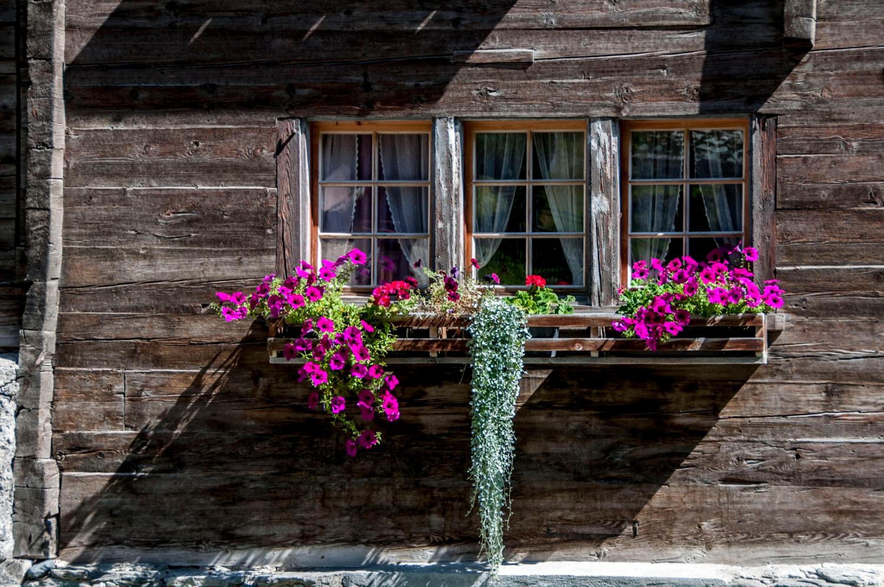 Gasthaus Edelweiss