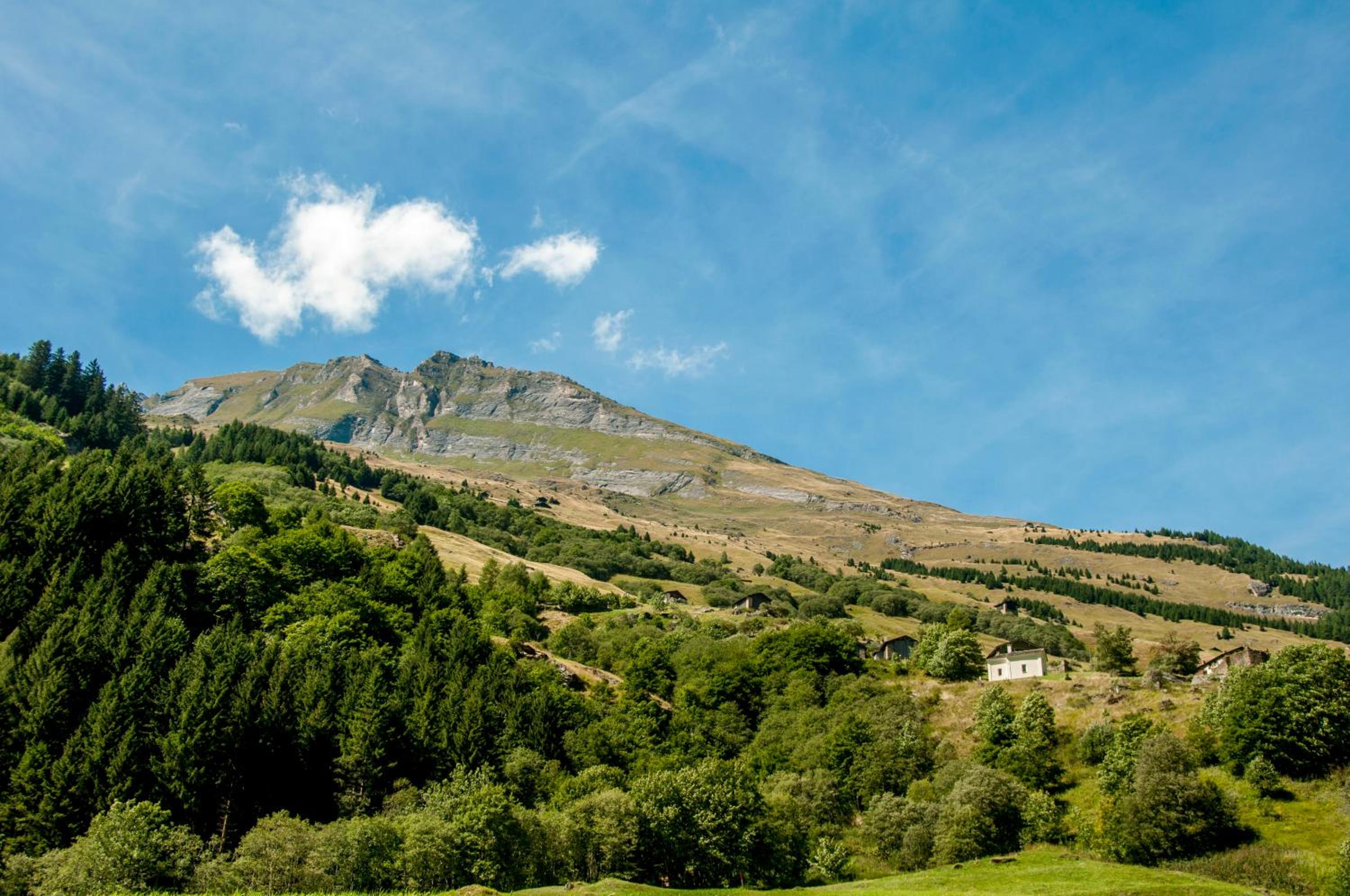 Gasthaus Edelweiss