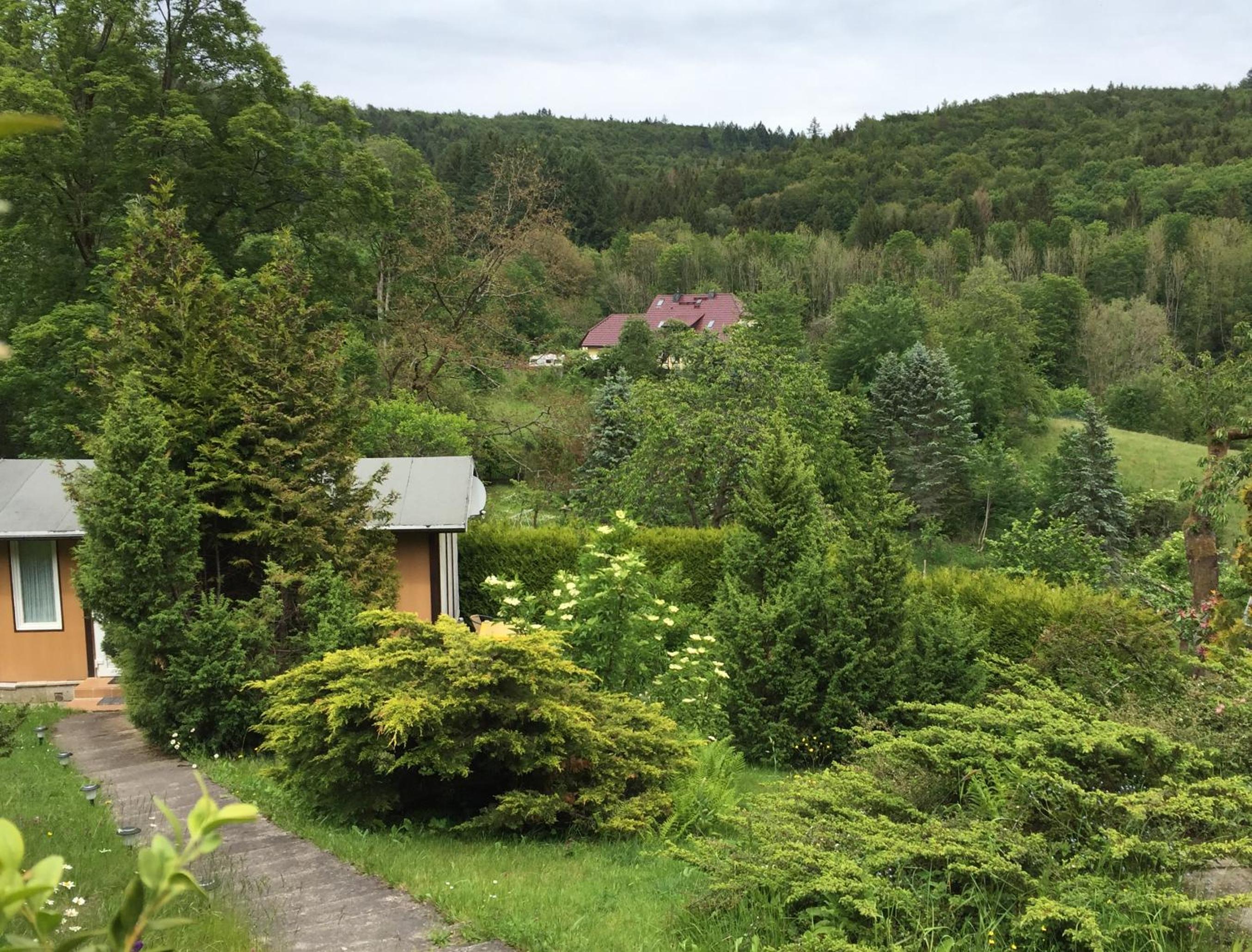 Kleines Haus am Wald