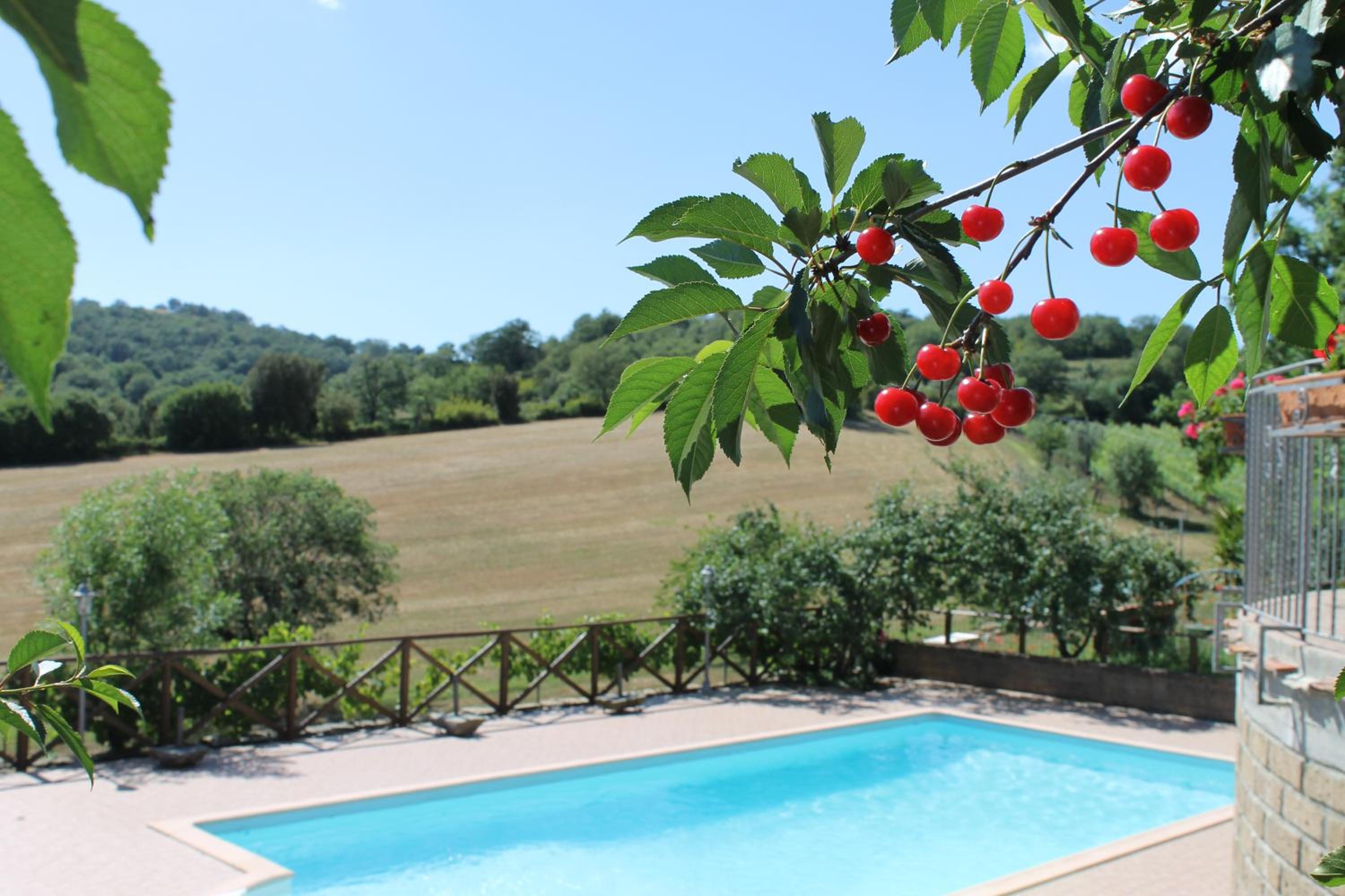MacchiaPiana view 2