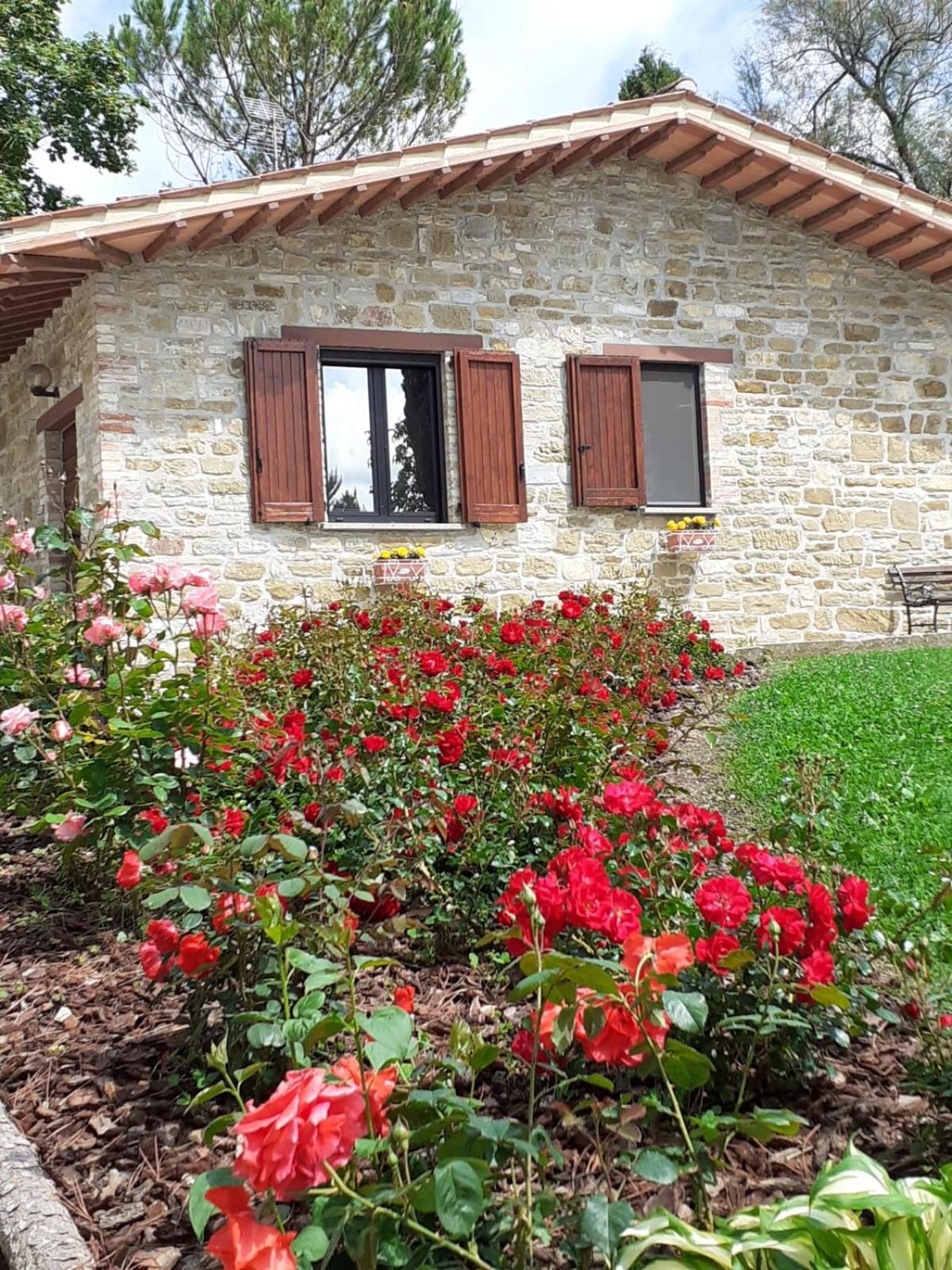 Agriturismo VILLA MOZART nel verde photo 2