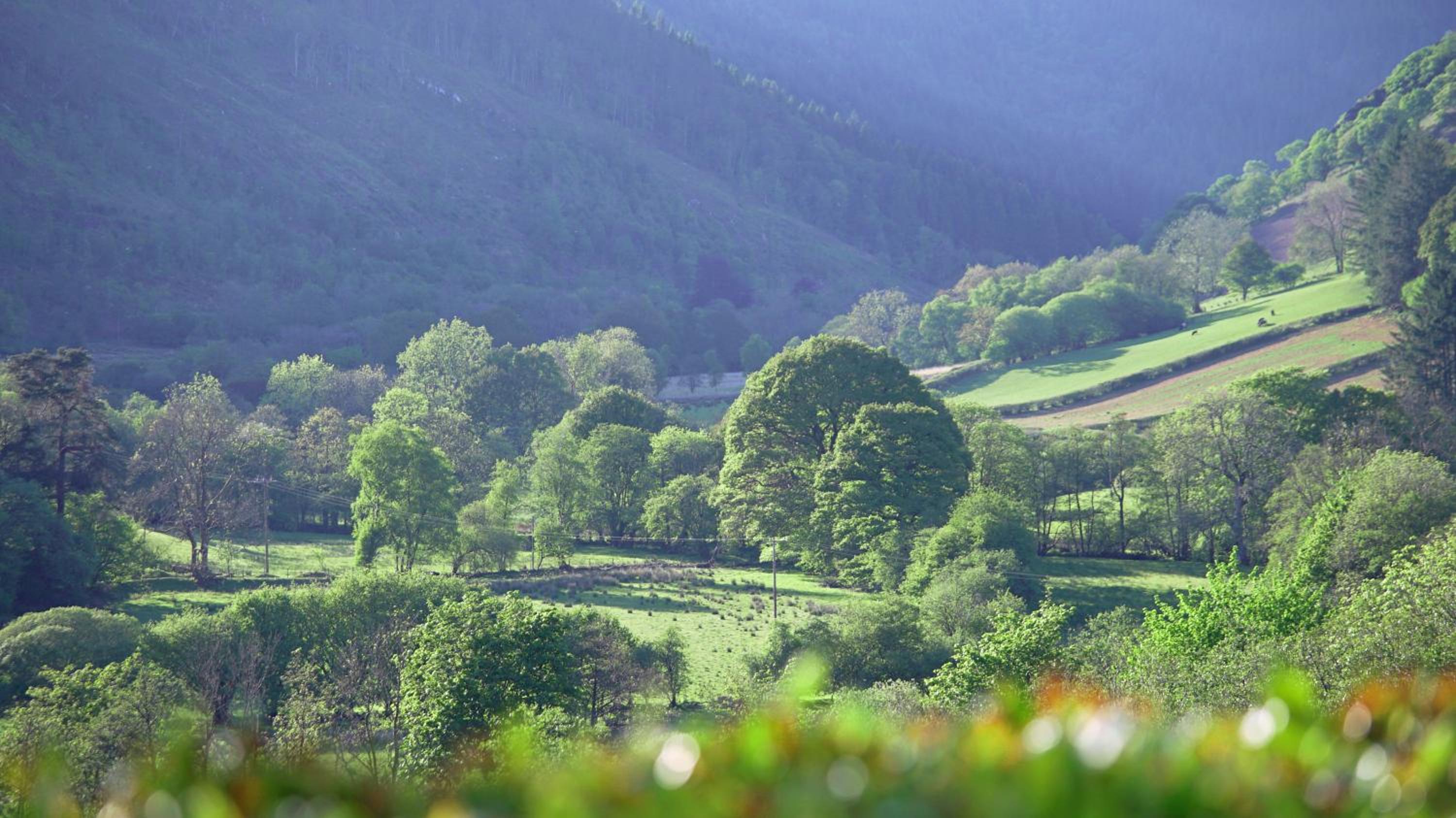 Kilsby Cottage view 2