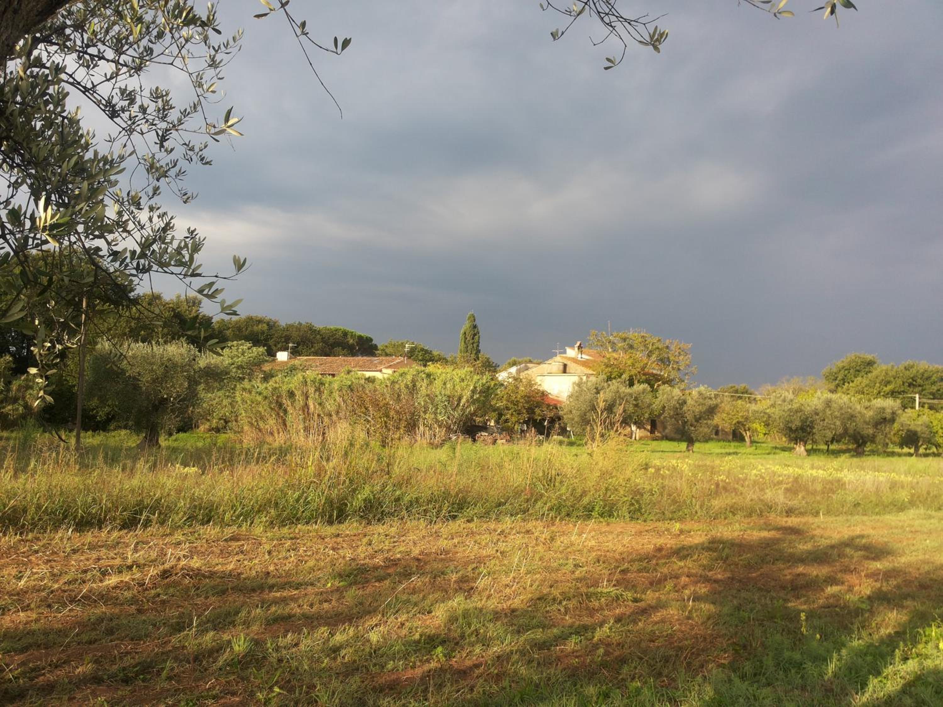 Casa Daria, Armonia del Passato nel rispetto della natura