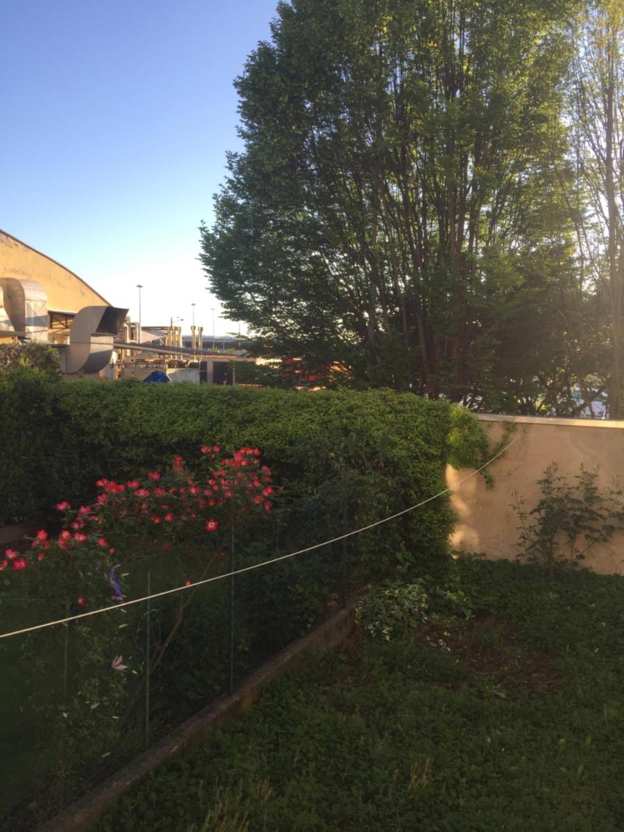 Photo 33