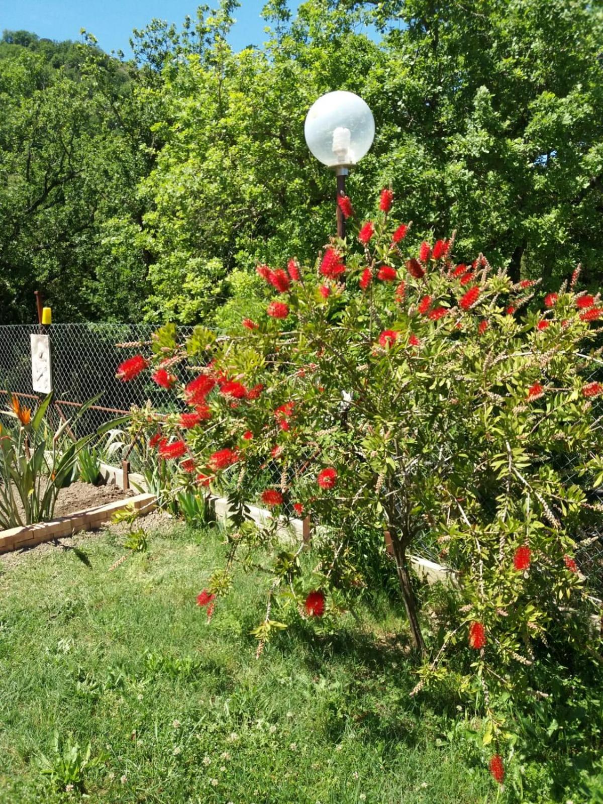 B&B Parco del Lago photo 4