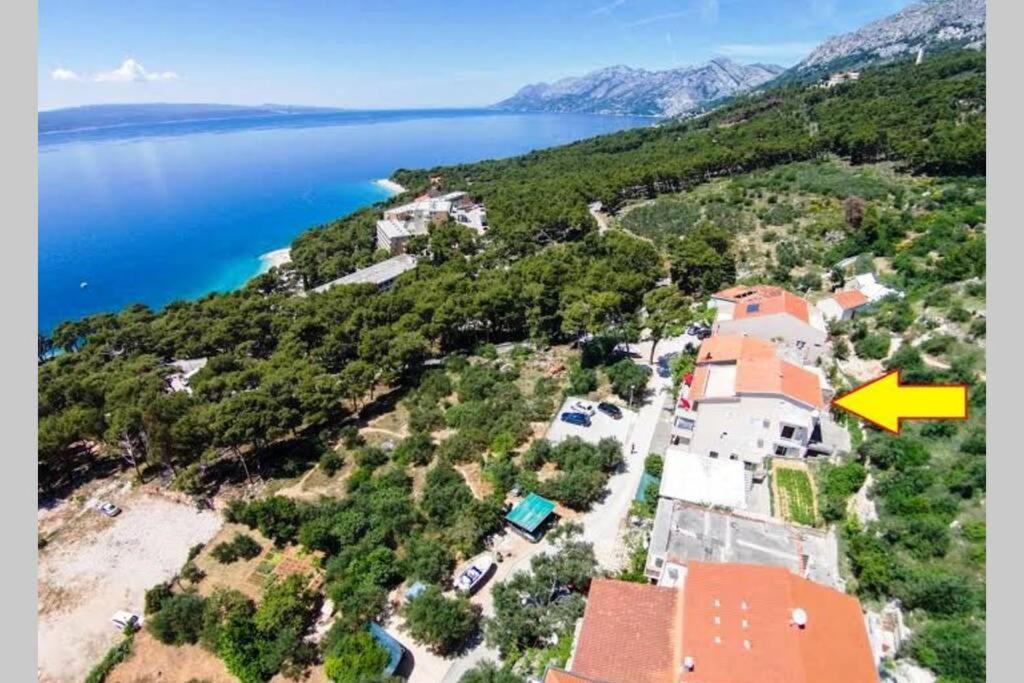 Studio ground floor with terace view 4
