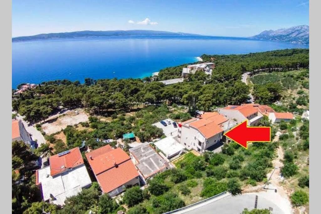 Studio ground floor with terace view 5