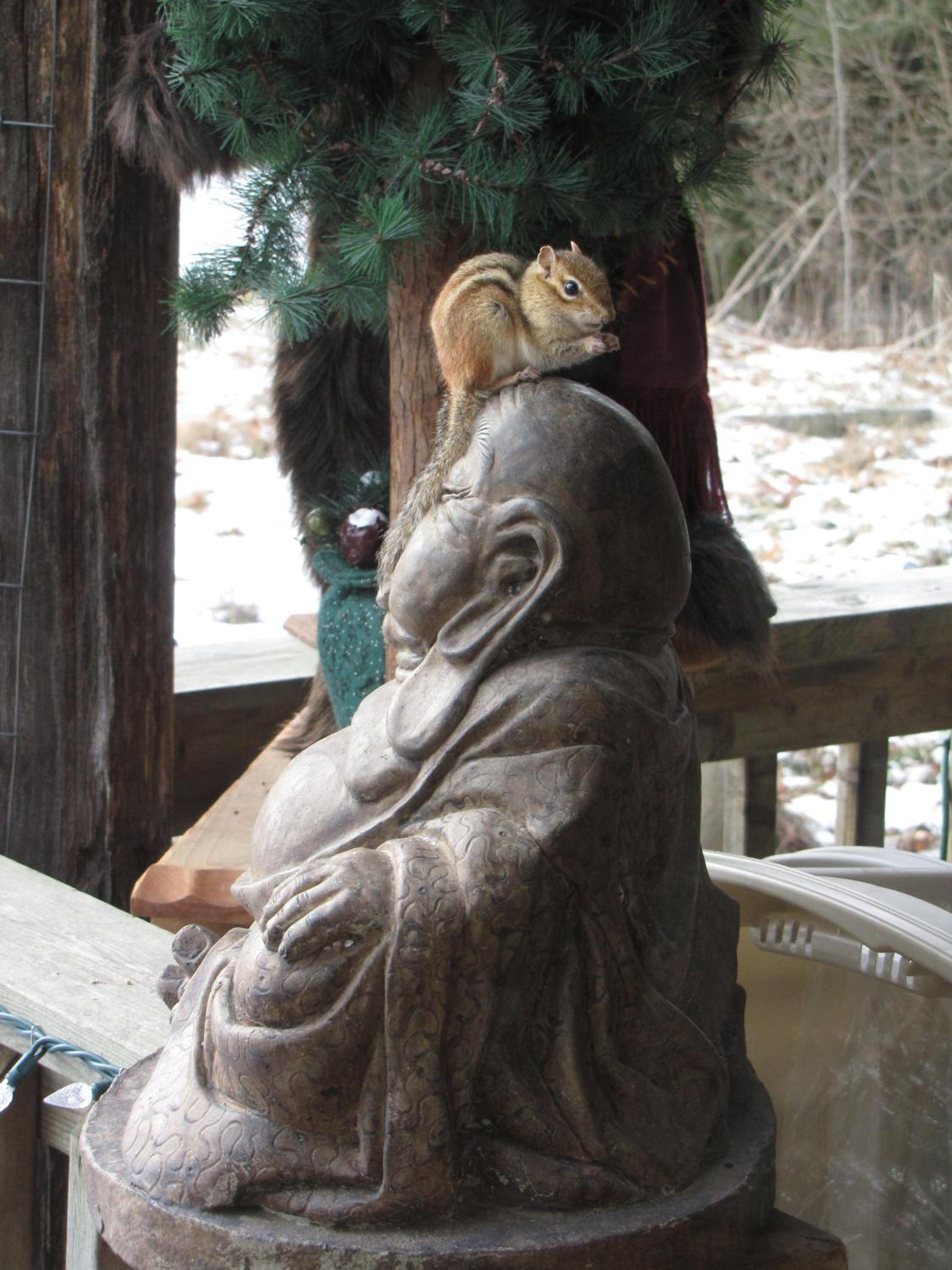 Shambhala Bed and Breakfast