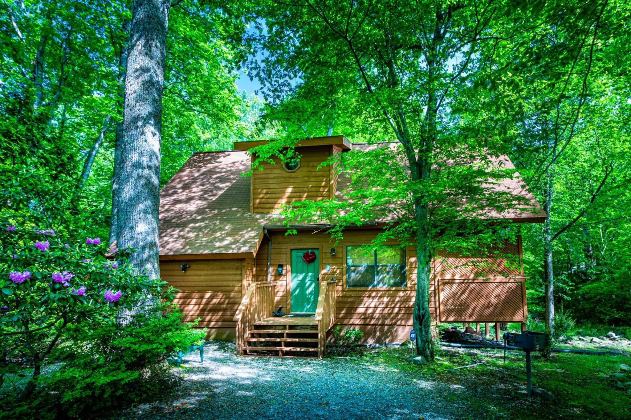 Hotel Bear Footin' On The Creek