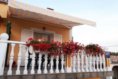 Apartments Nella