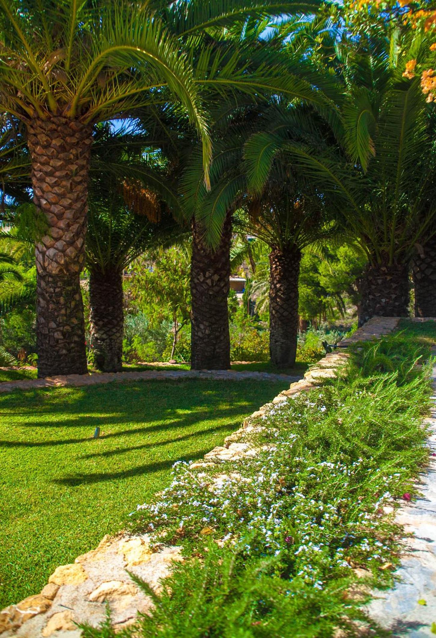 Villa Altozano with pool, barbeque, large garden, and fantastic sea views view 4