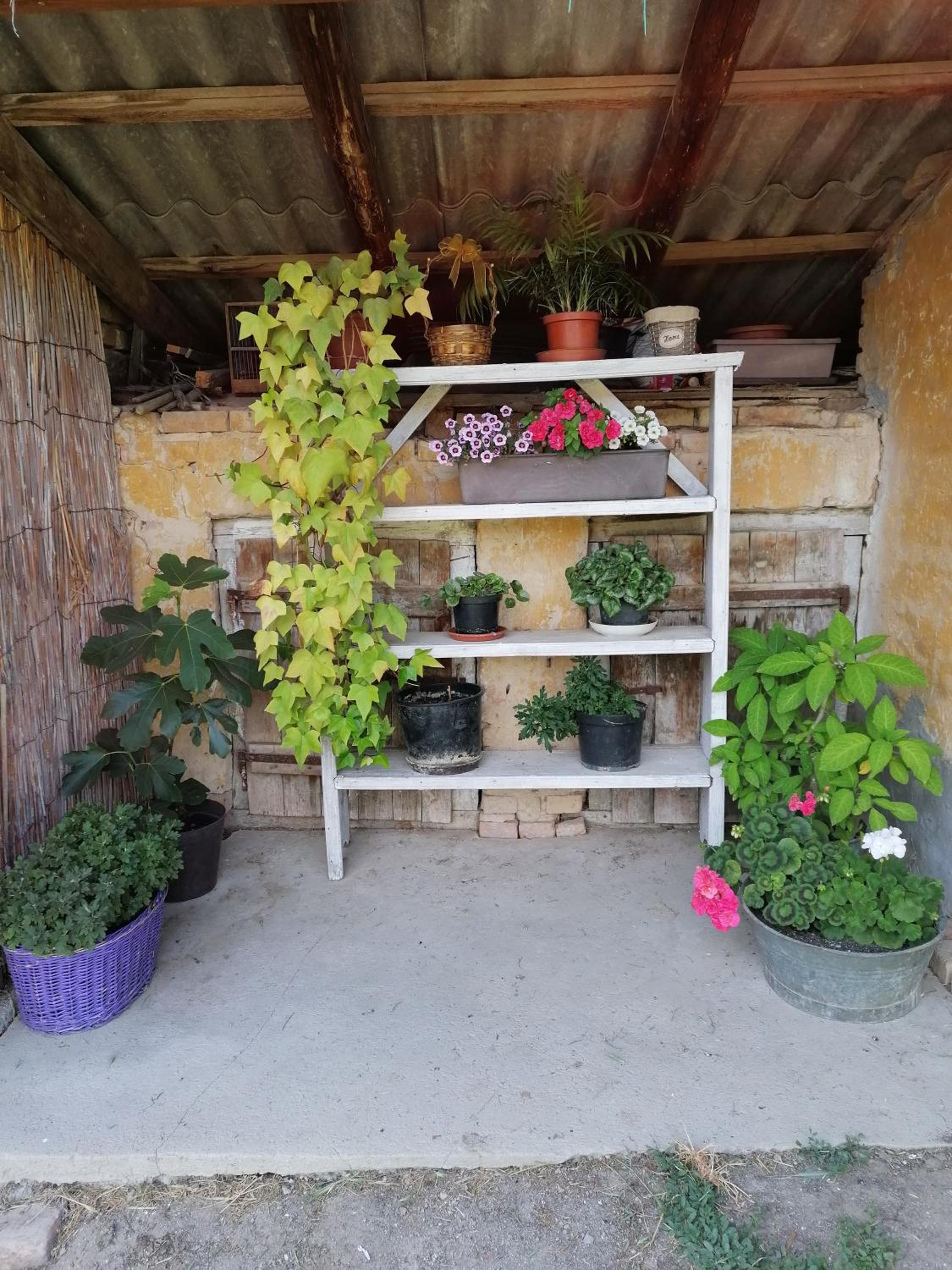 Livi Apartman