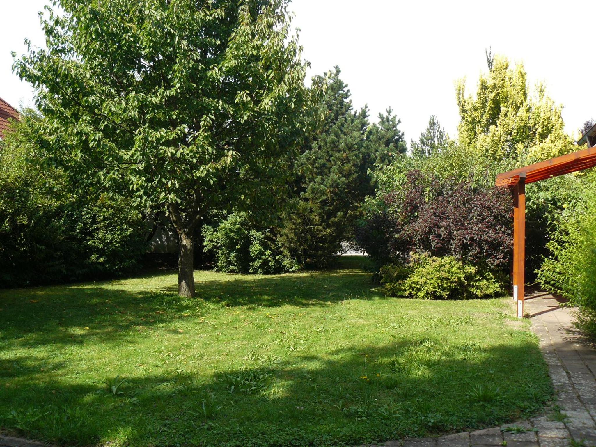 Photo 39