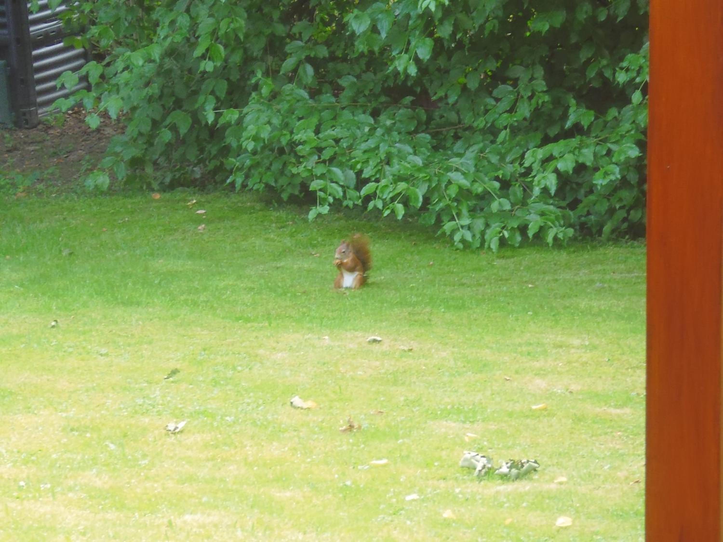 Photo 51