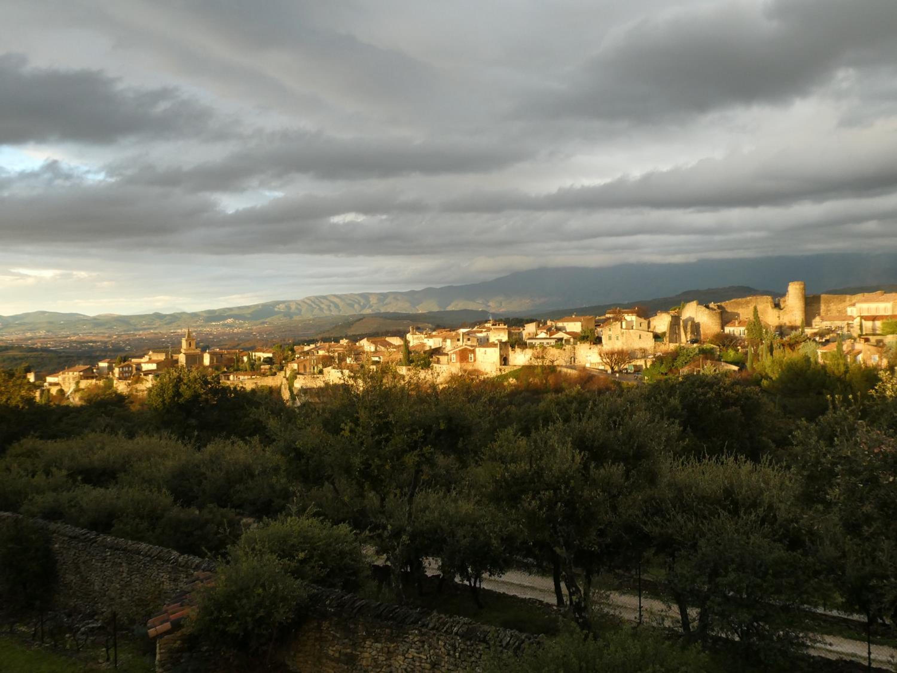 Photo 41