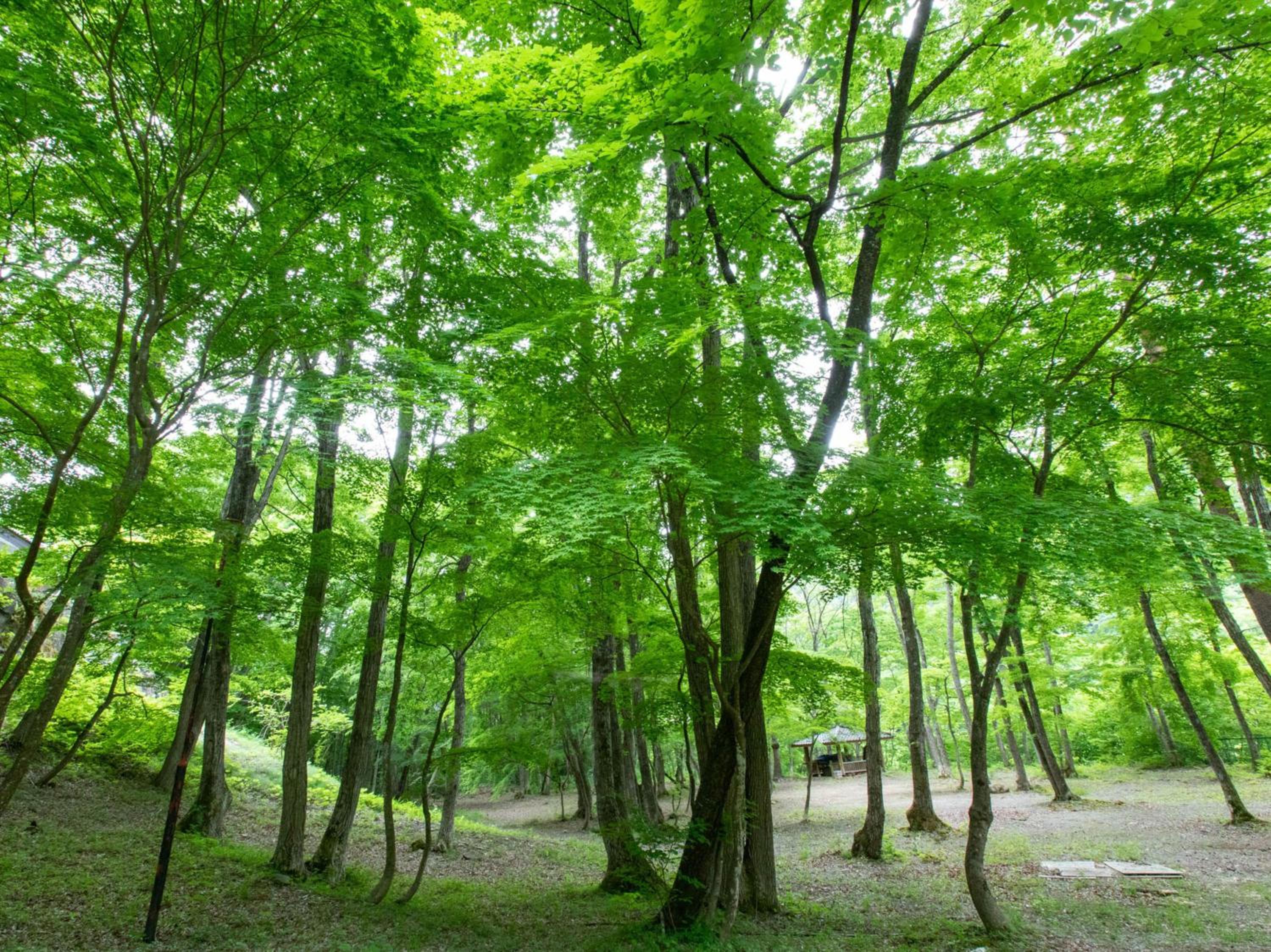 Tabist Koboshi no Yu Senshintei Aizu Yunokamionsen