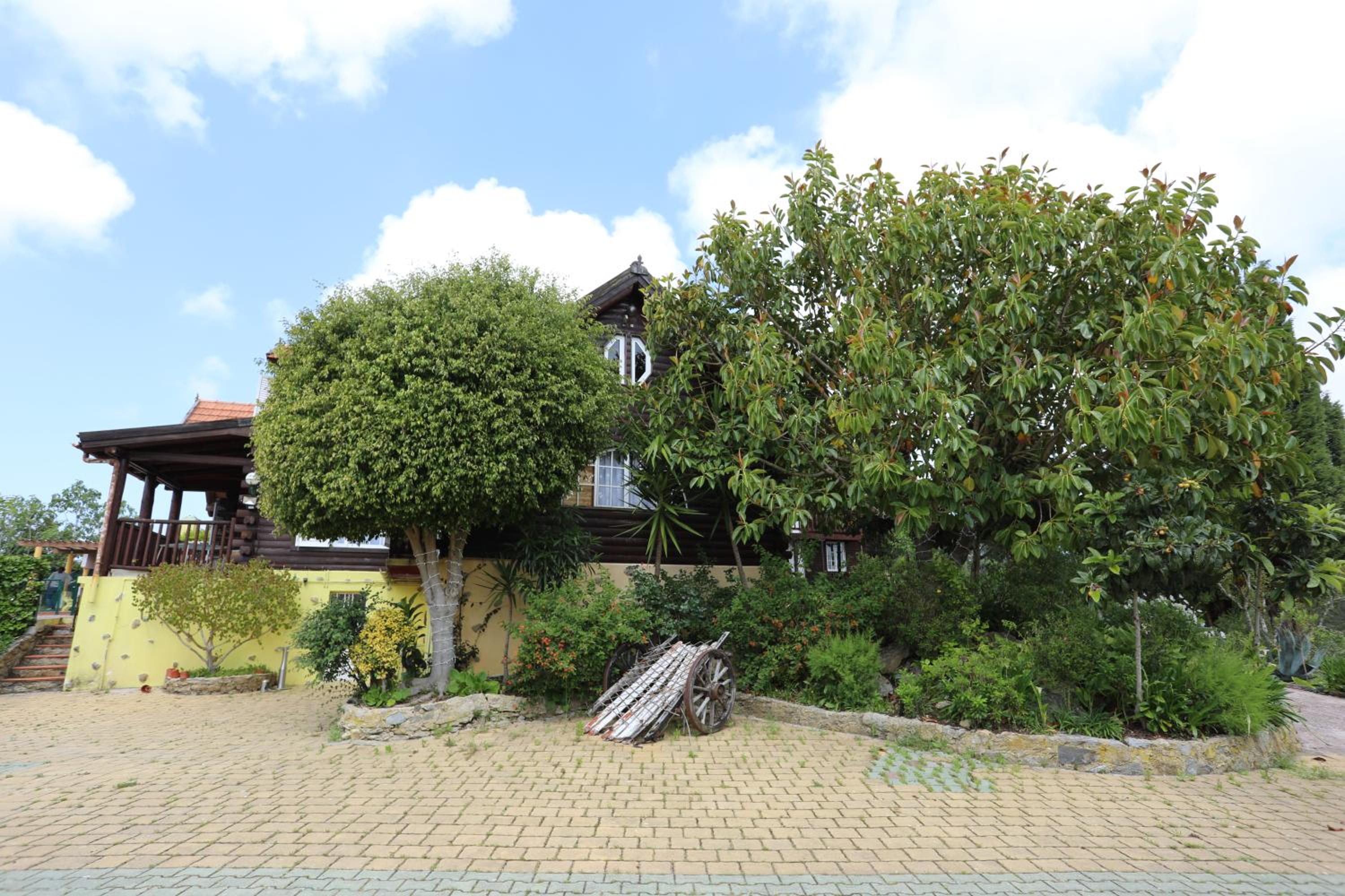 Photo 49