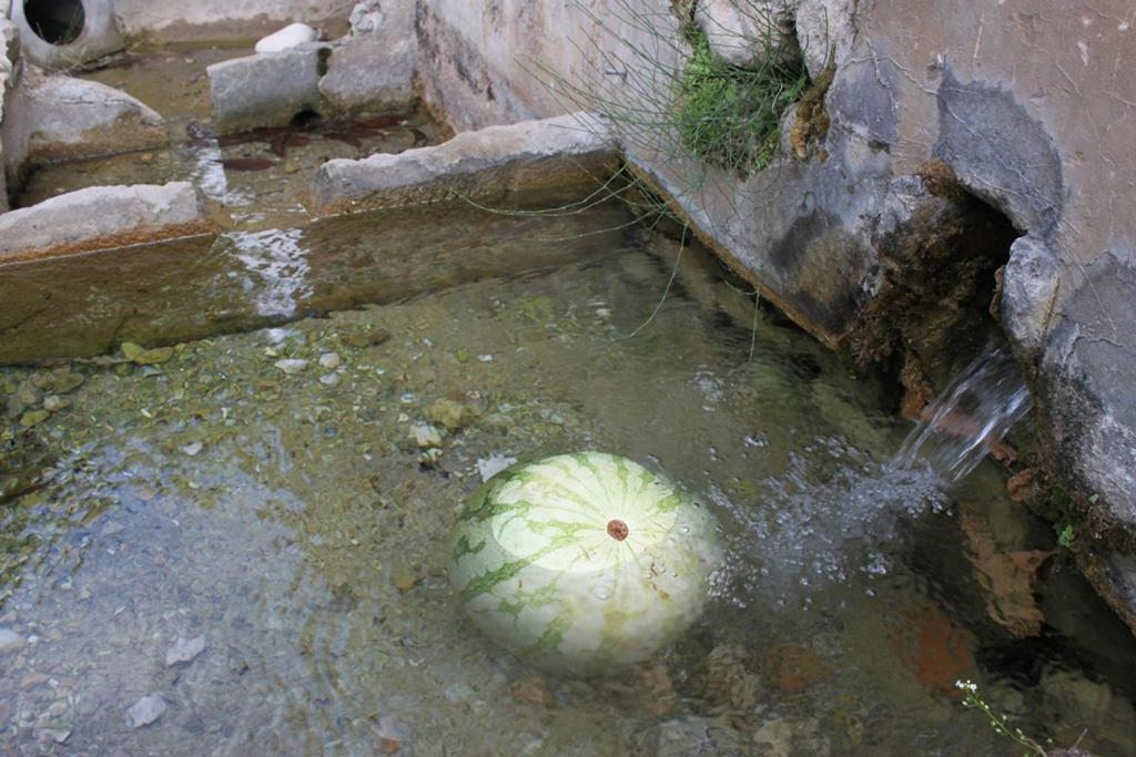 El Molinet del Governador- Apartamentos Rurales