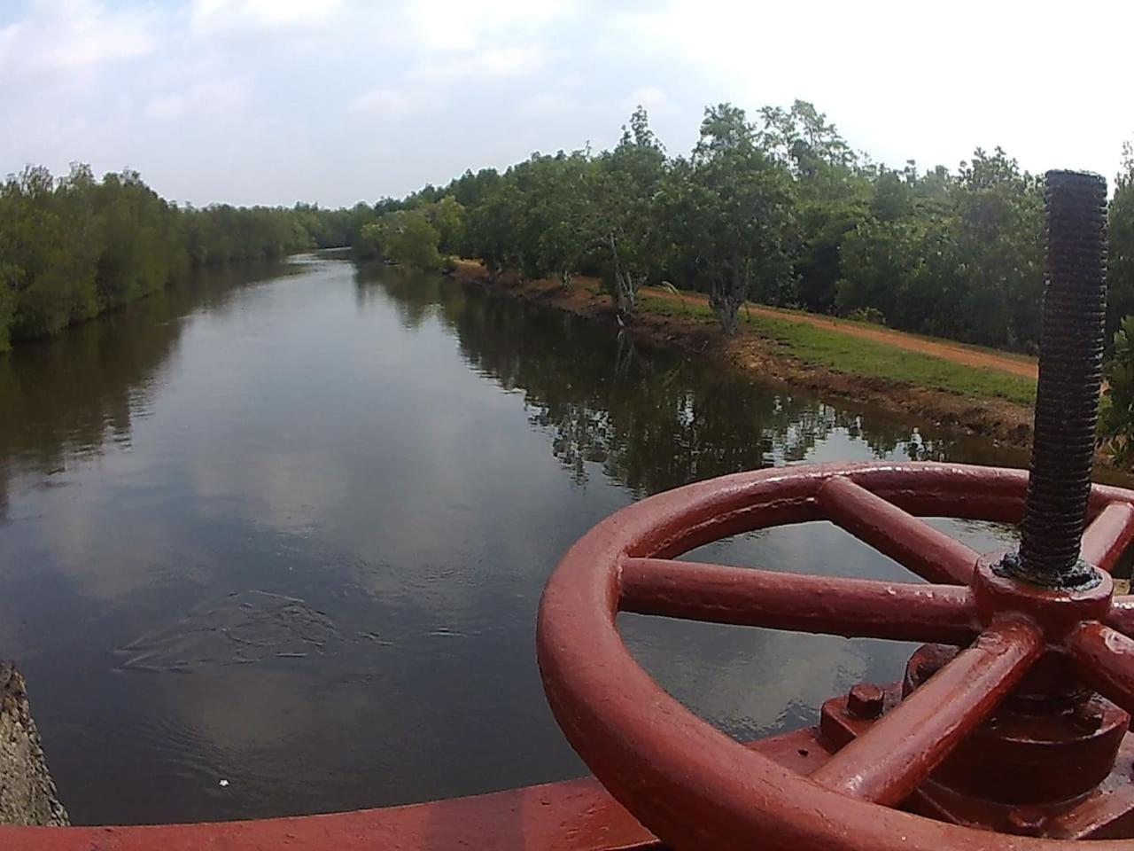 Photo 22