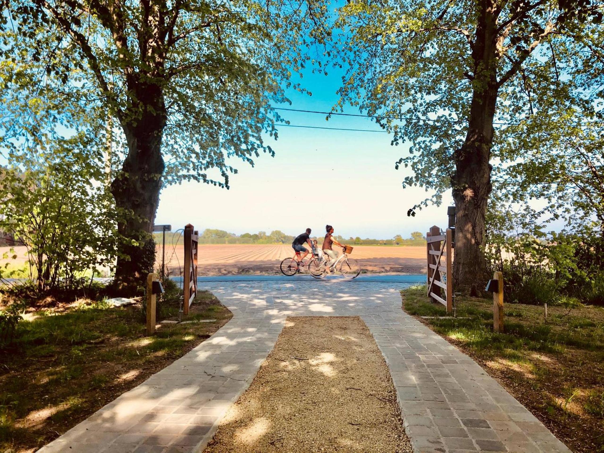 Oscaar vakantiewoning in bos
