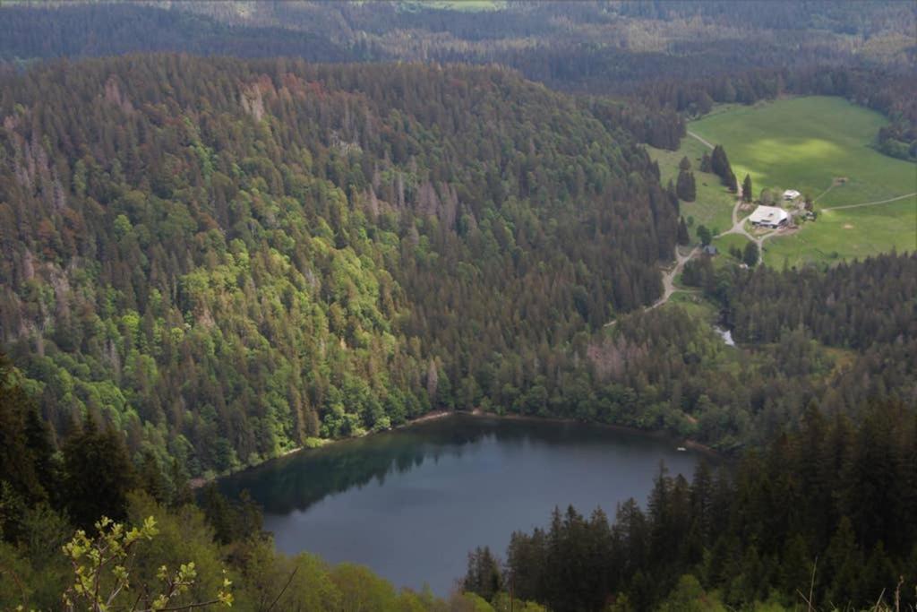Ferienwohnung Schwarzwald