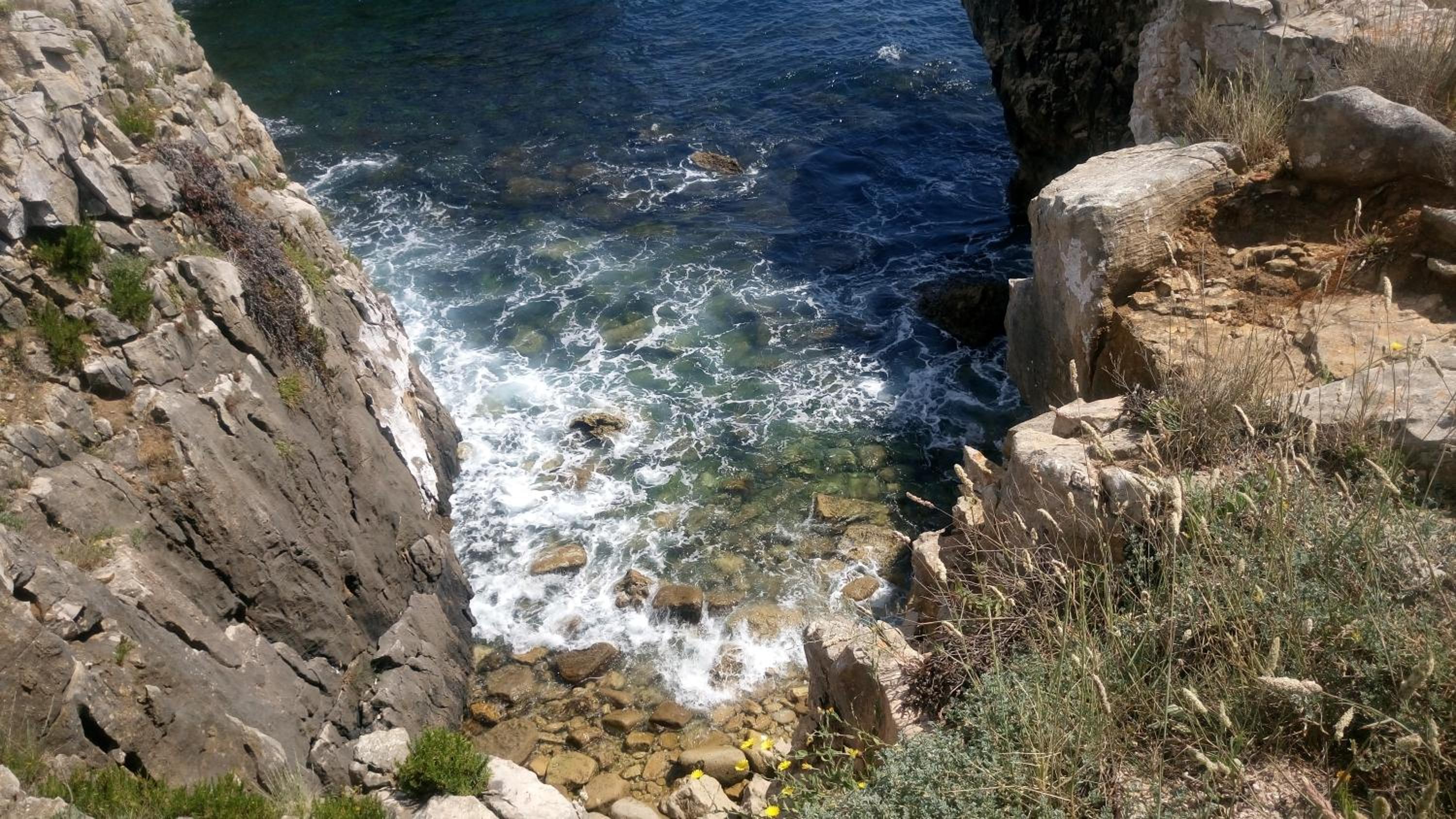 Photo 11