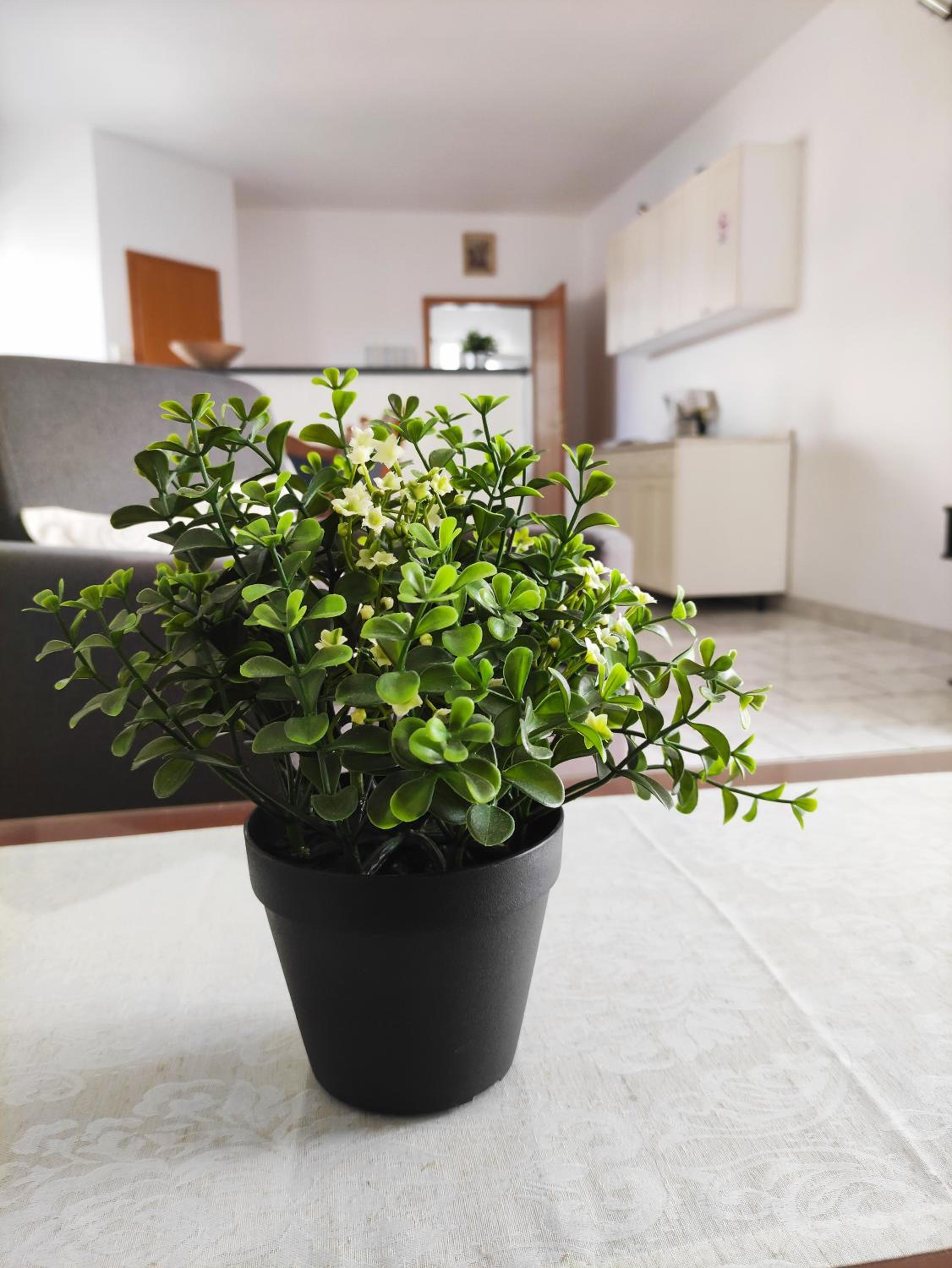 Guesthouse Varnica